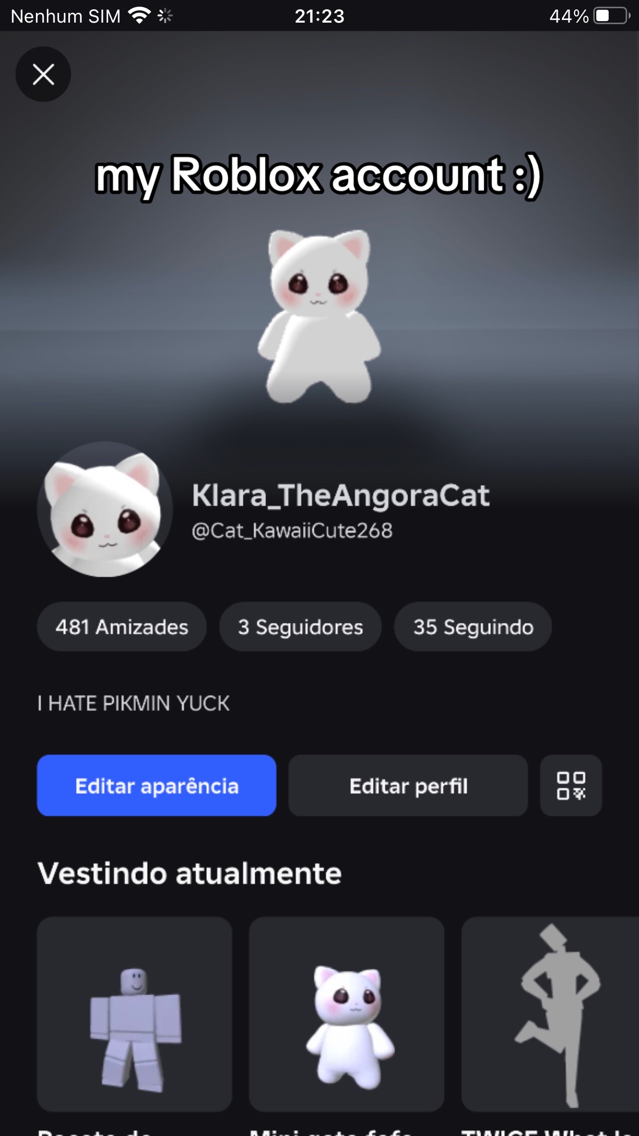 @☁️🐱Klara Turkish Angora🐱☁️