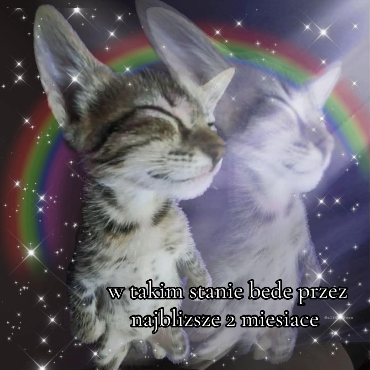 @weronika