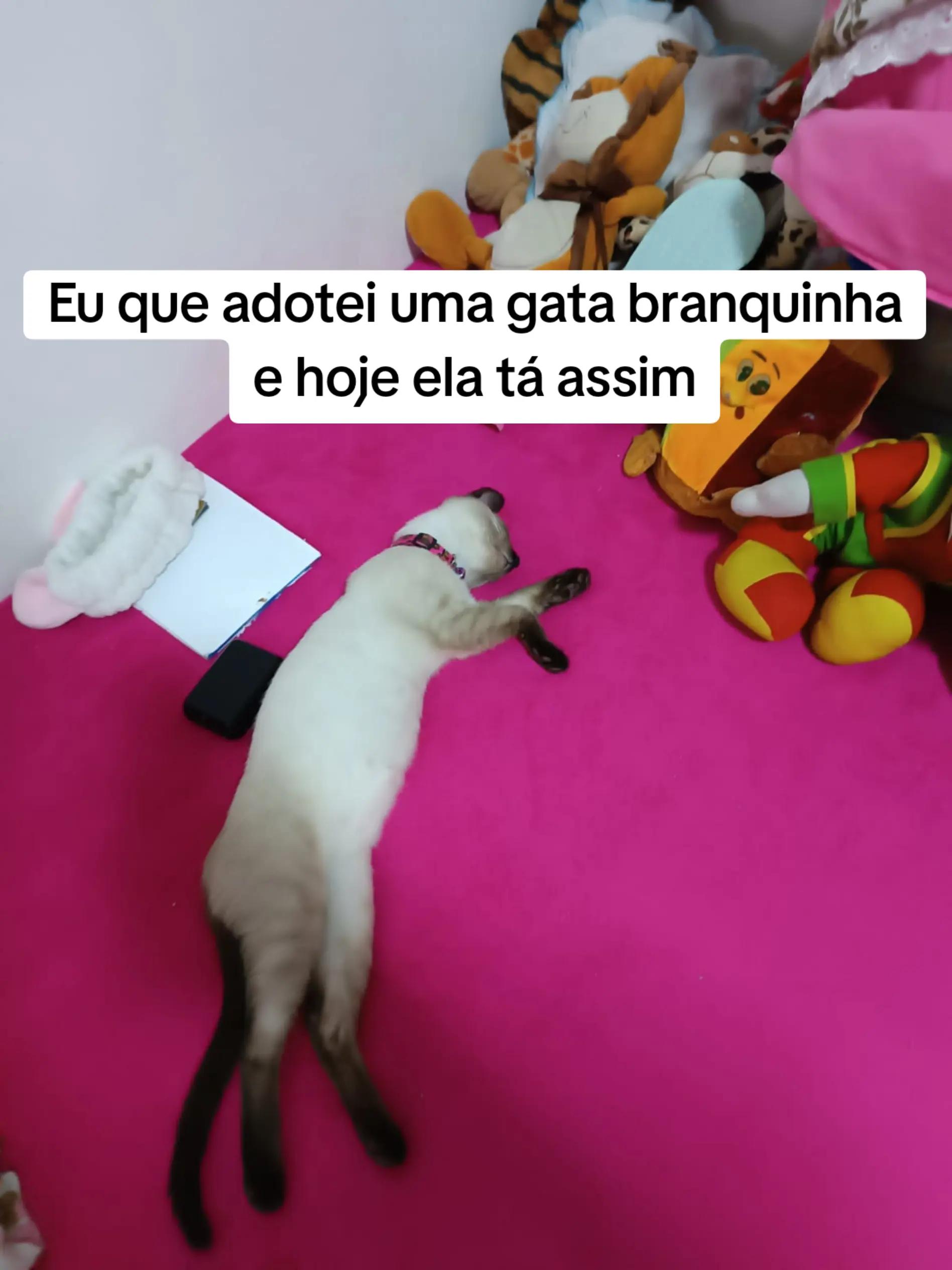 @MilaCardoso