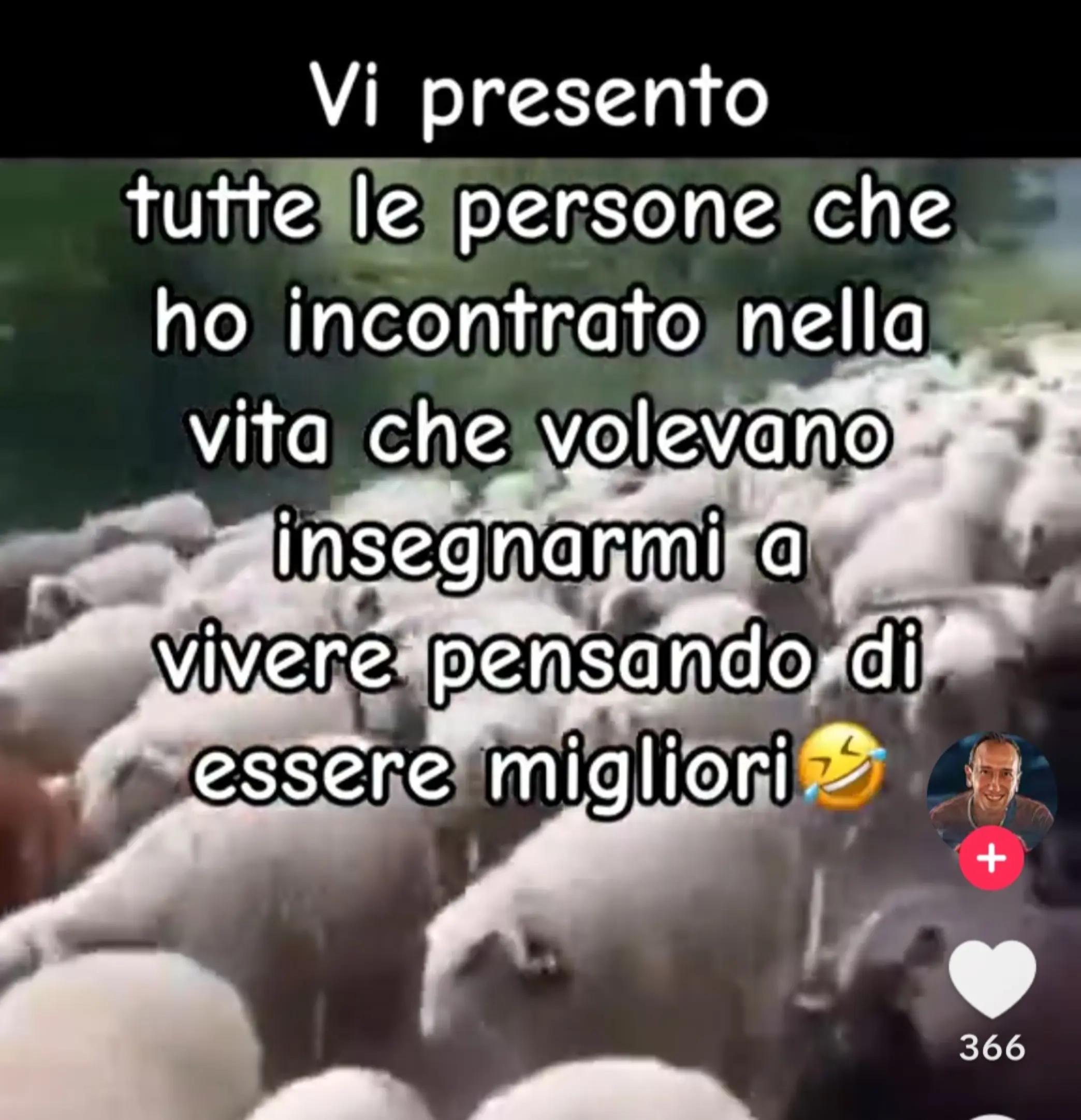 @Gianpaolo Traina