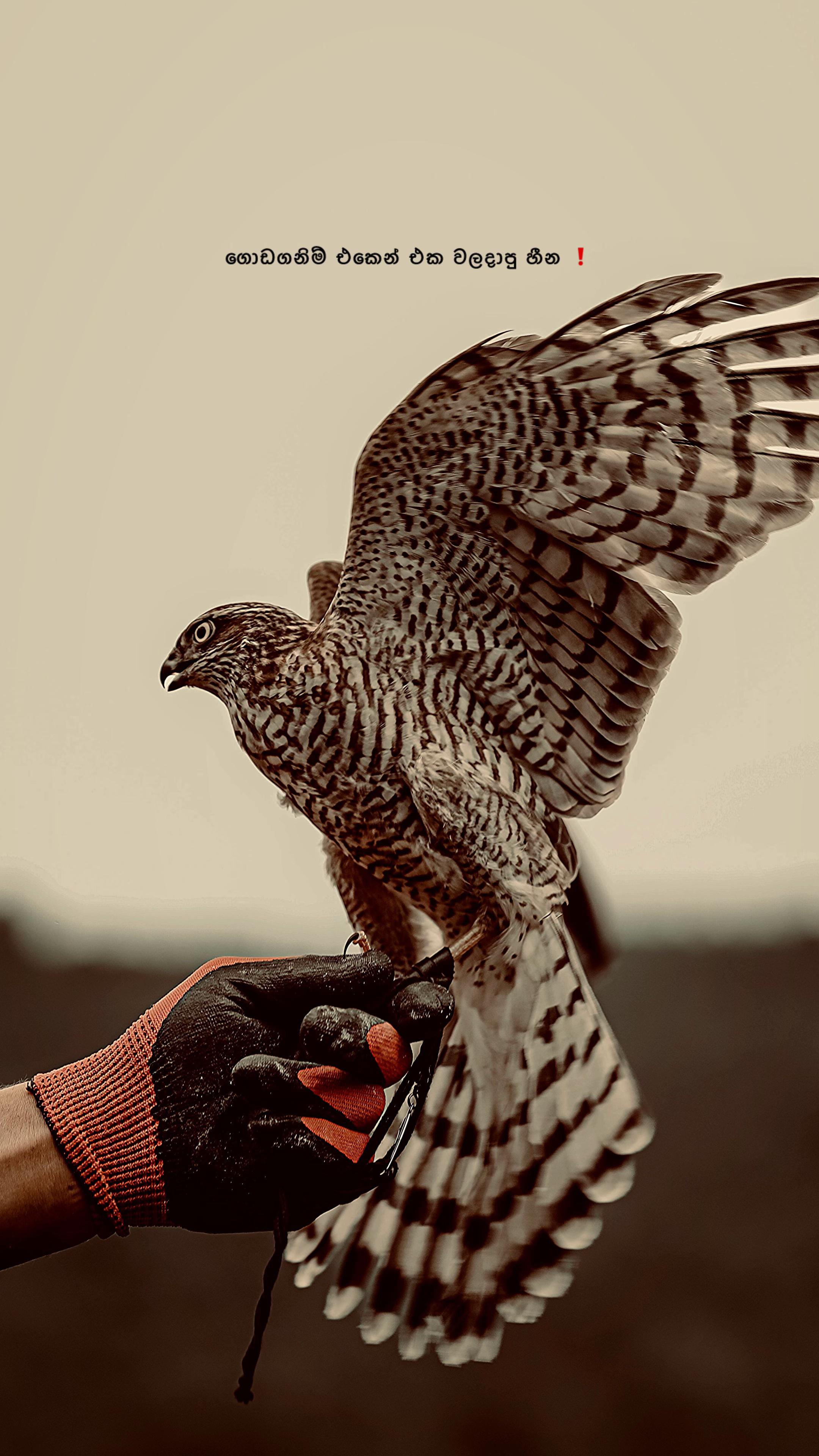 @Diary of Ravindu ๐๐๐จ"