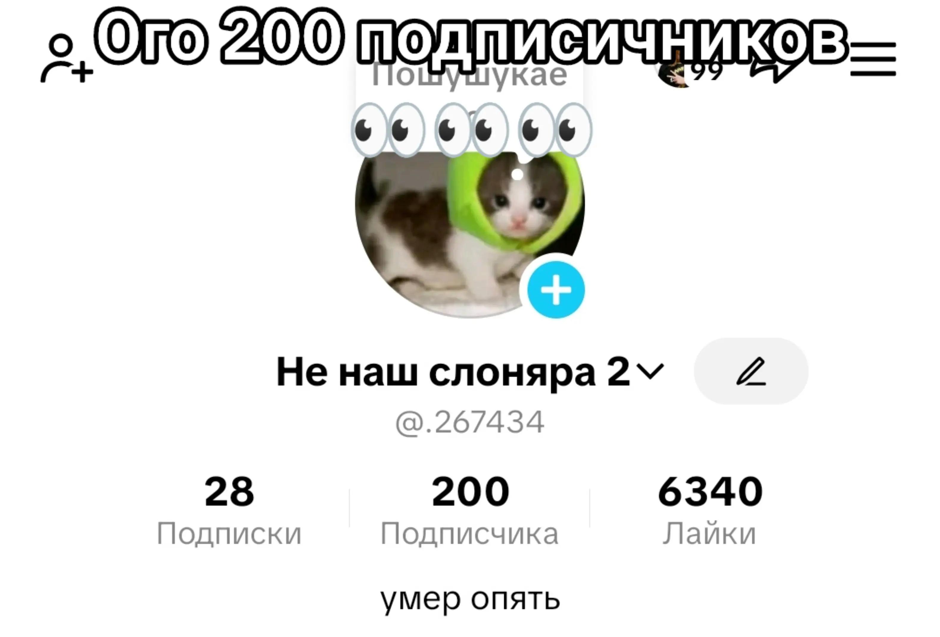 @Не наш слоняра 2