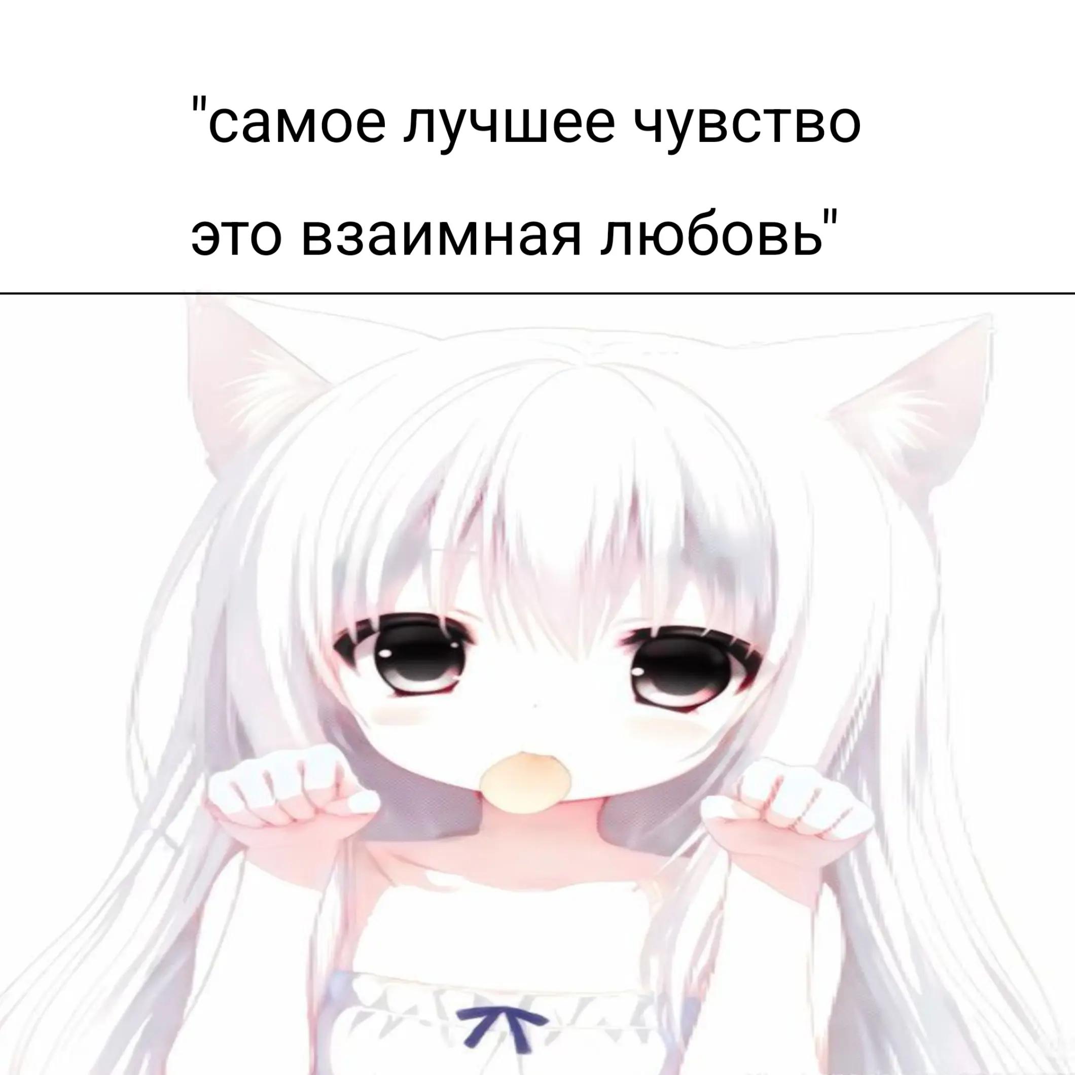 @˚.⋆꒰১kirч ໒꒱⋆.˚
