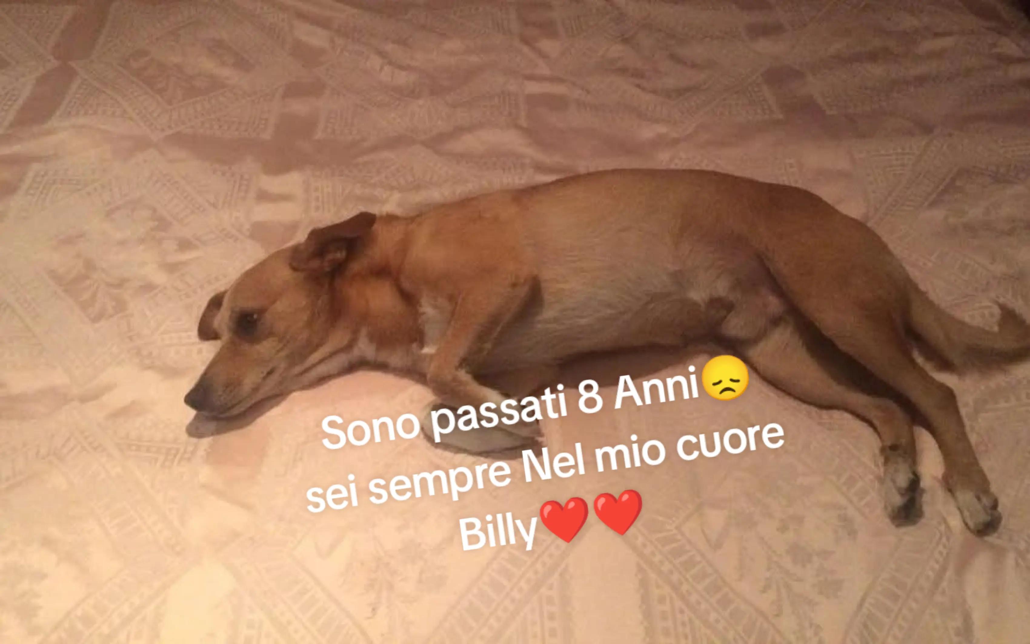 @Cristina Di Tonno