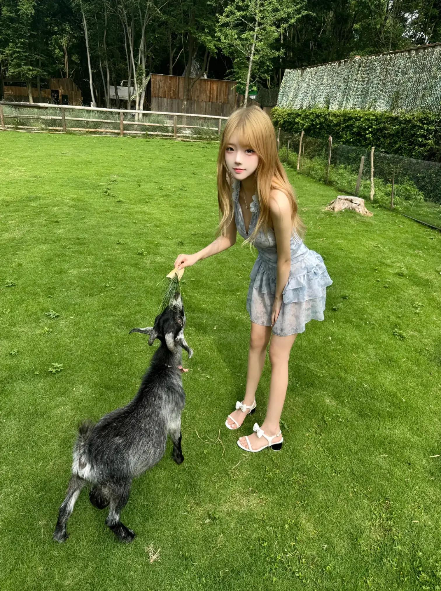 @Sunny🐰