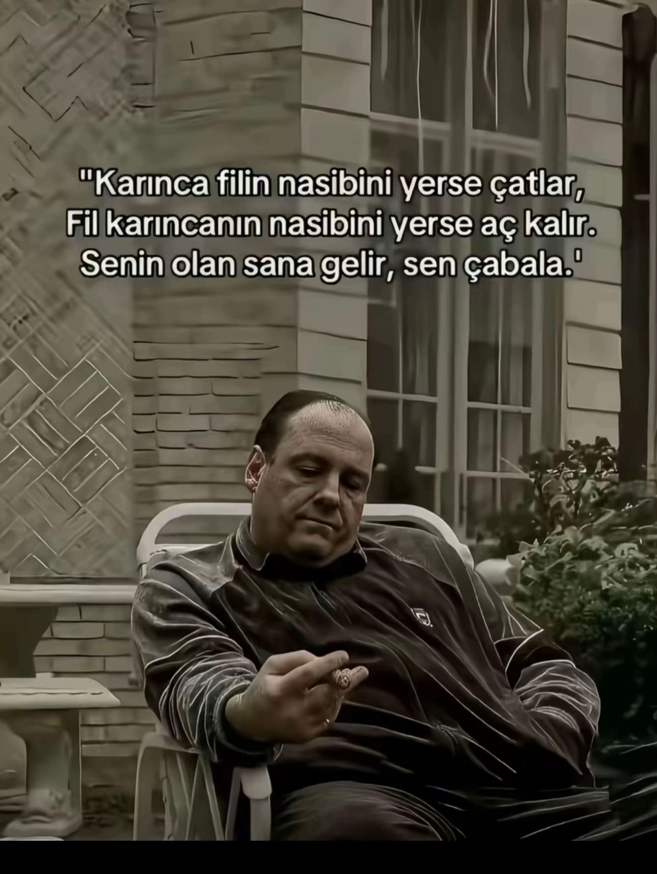 @alibas.44