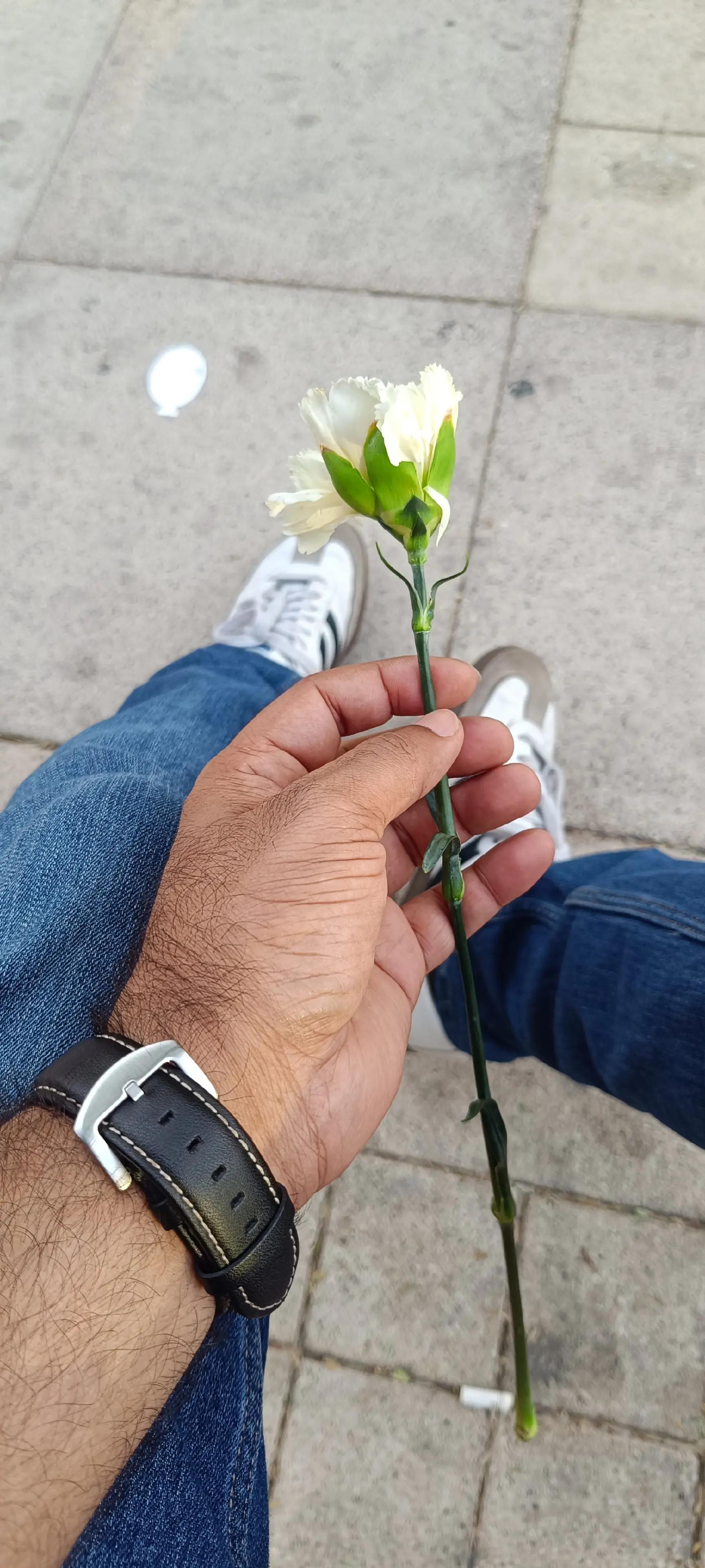 @sura AUH 🇦🇪