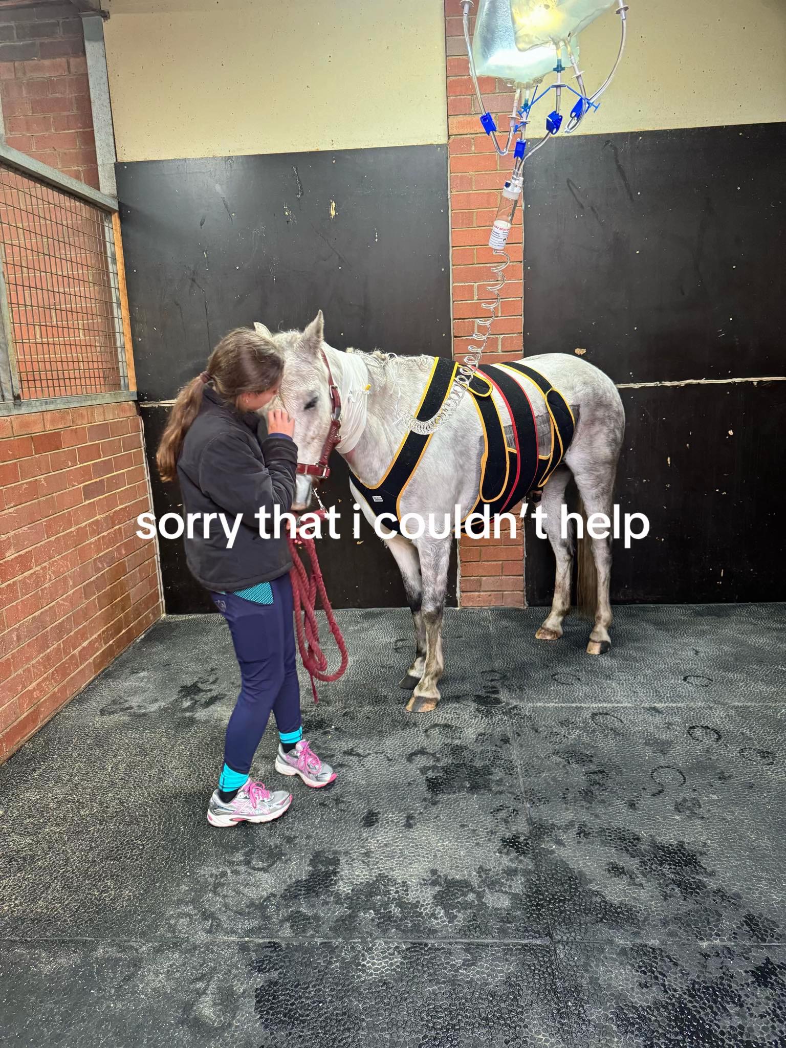 @Kyla & Archie 💜