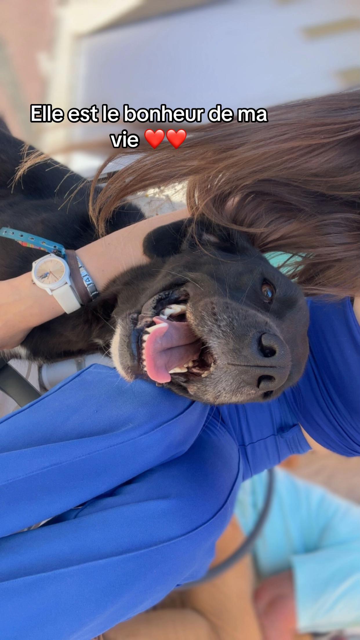 @𝐋.𝐧𝟐