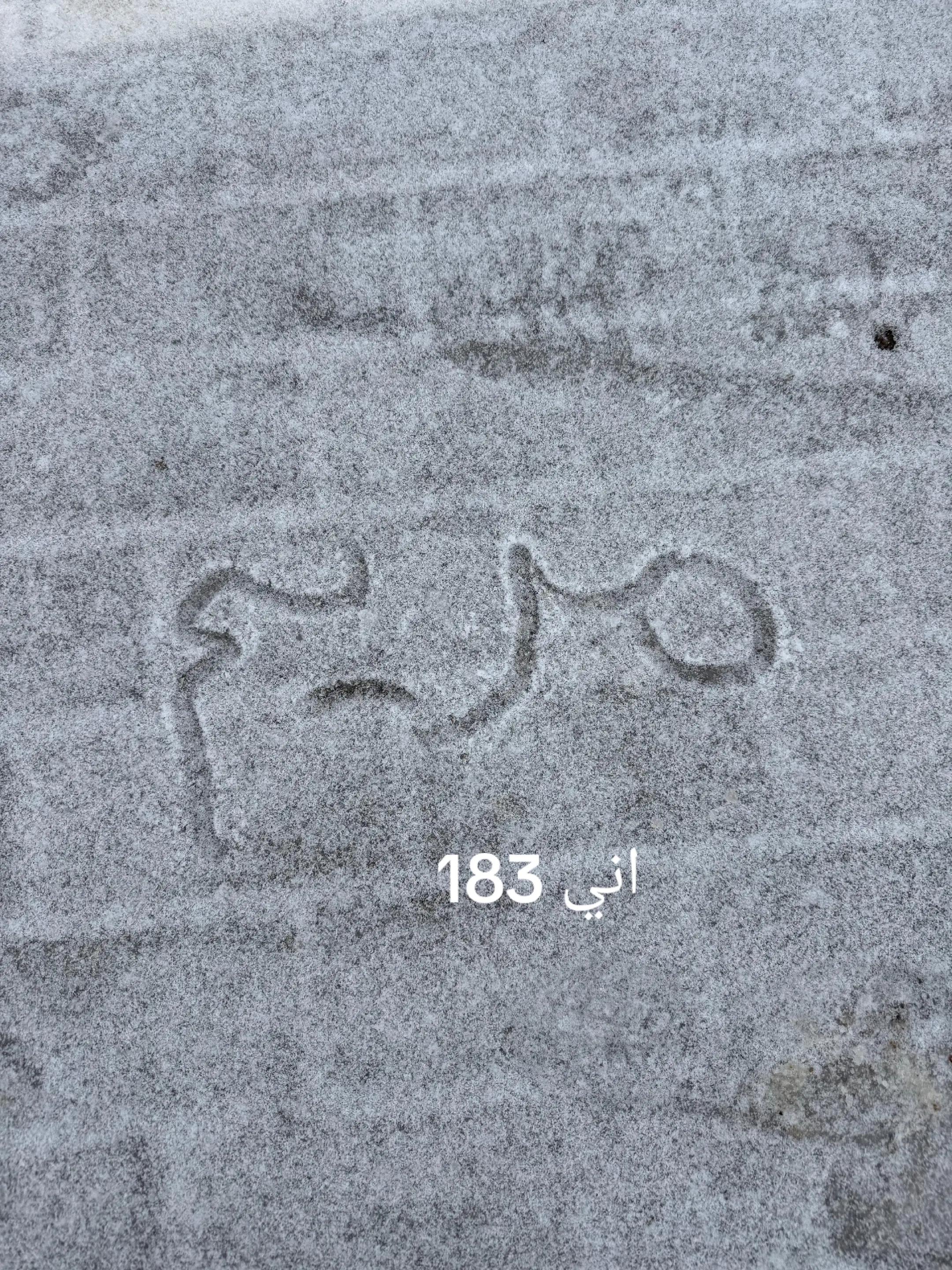 @✨مريمMariam✨🕷️🕸️