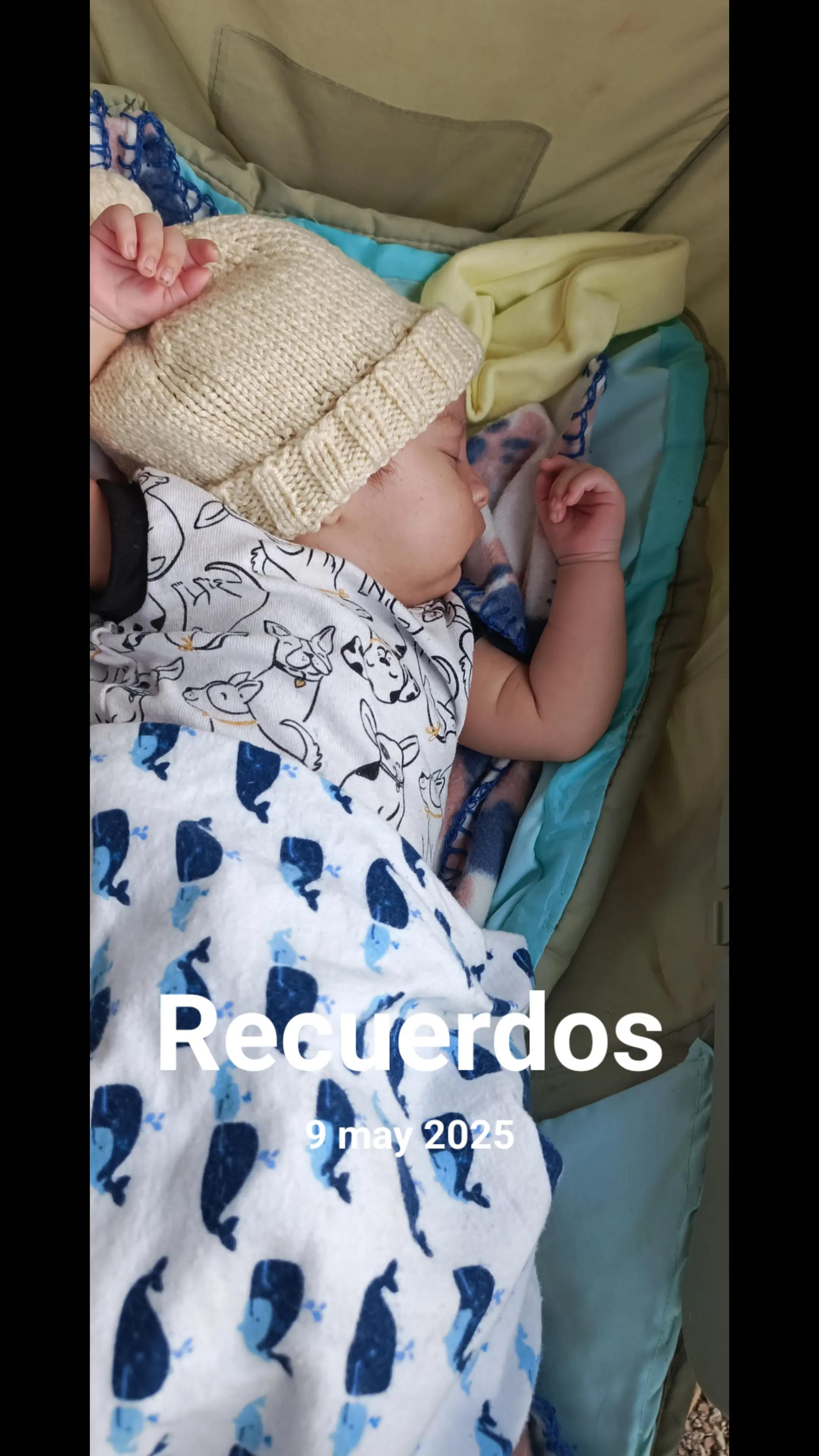 @Analiesse Marín🇻🇪