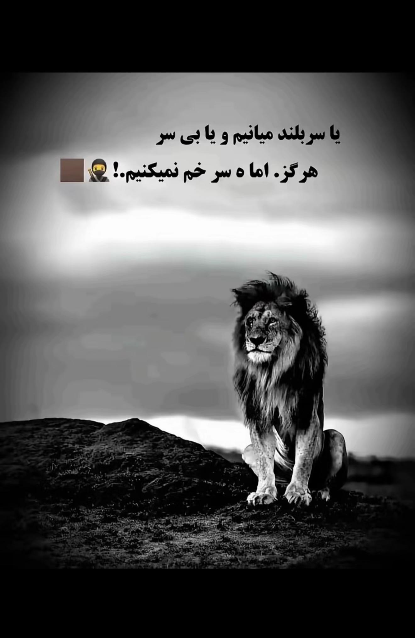@___rayes___parwiz___4d