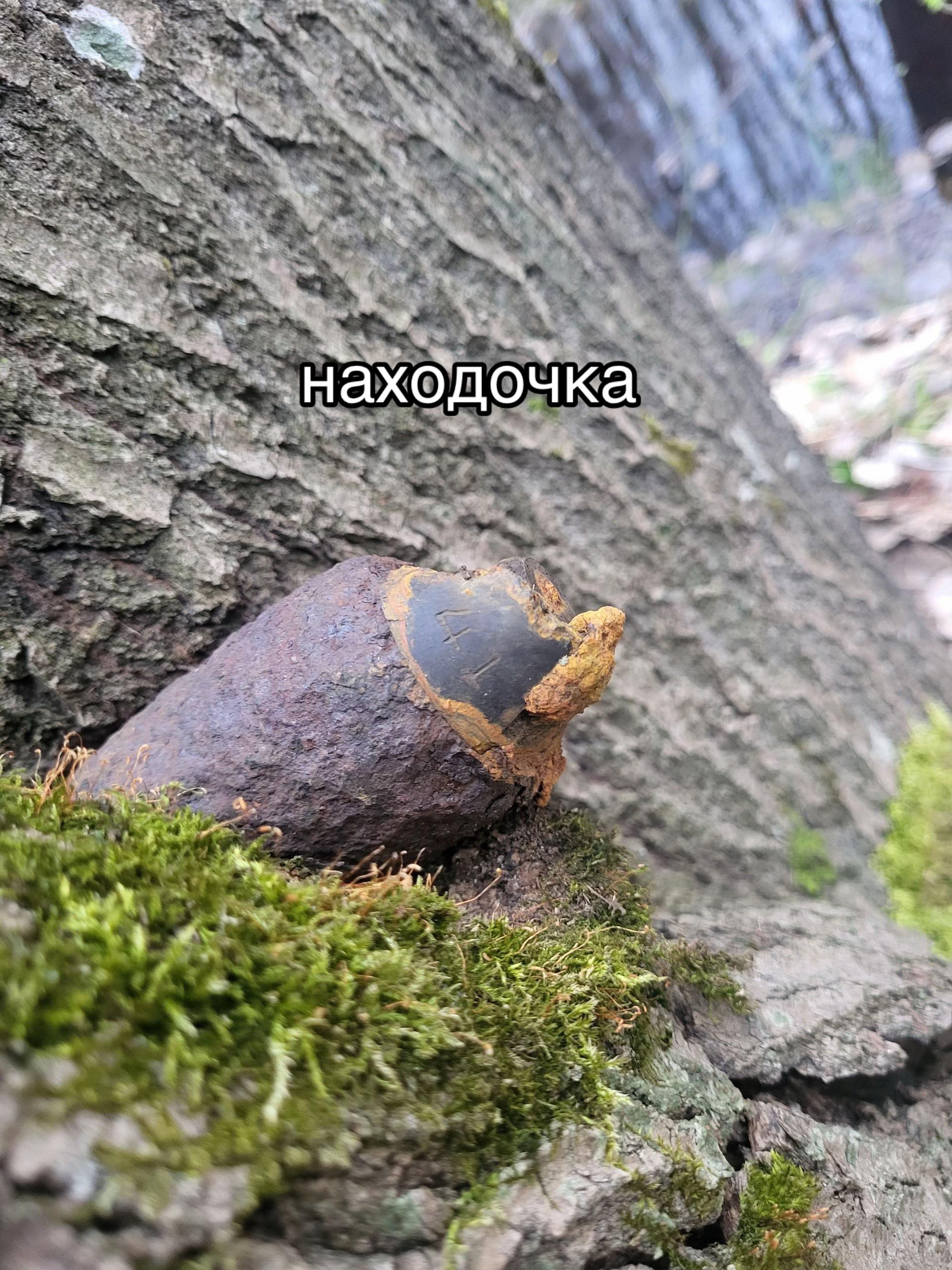 @danya.