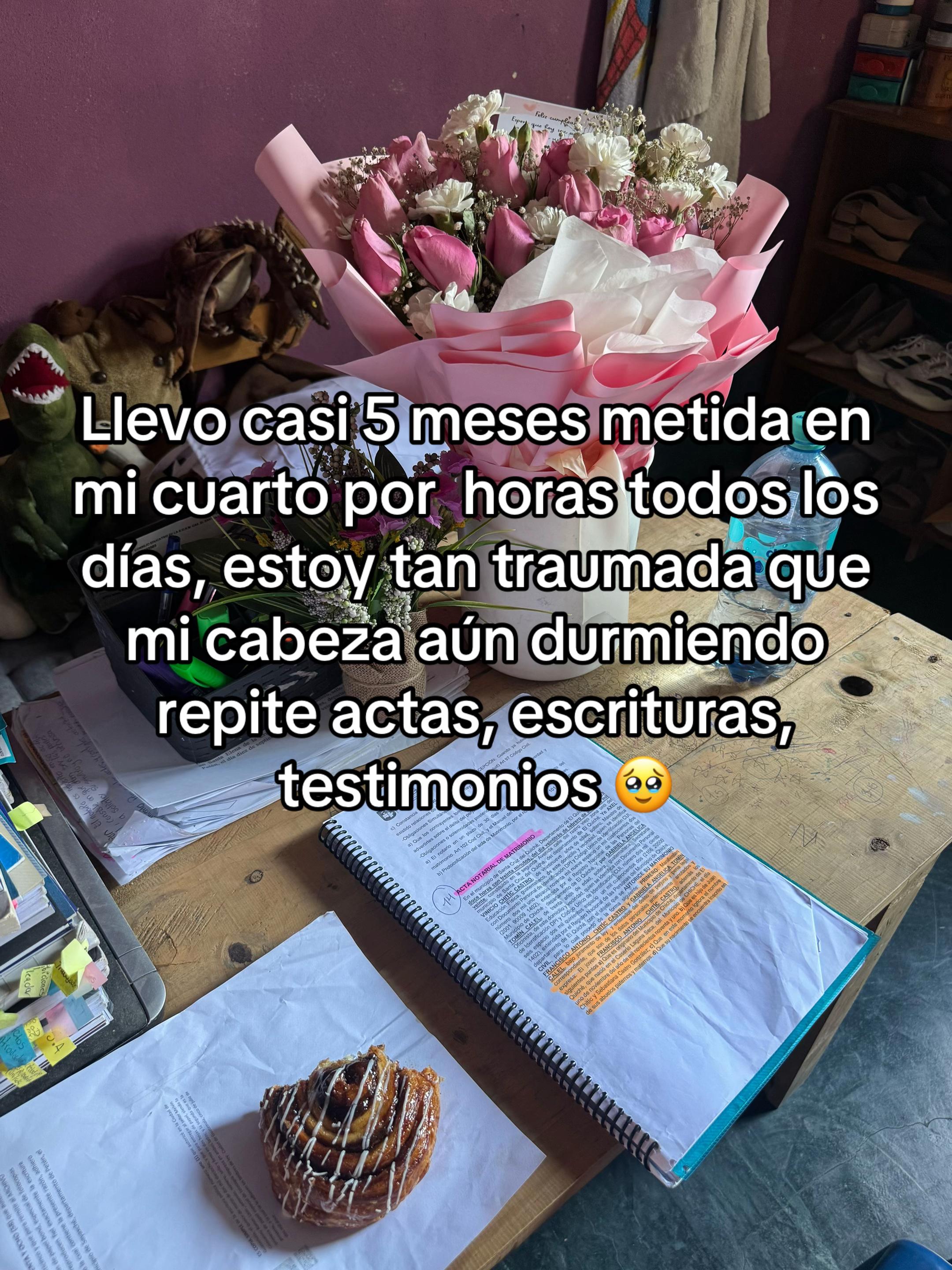 @Lisi 🦕