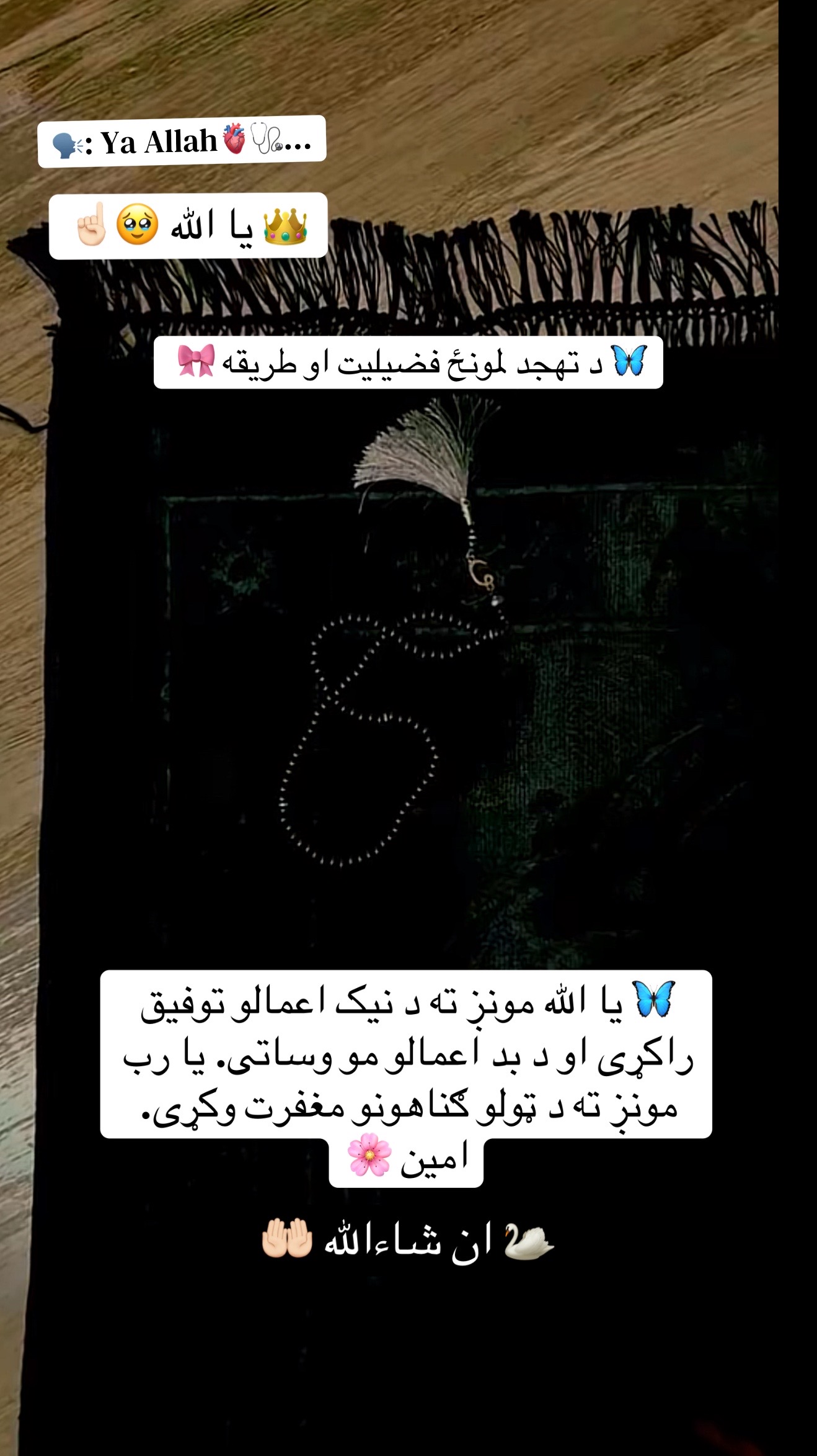 @ðð©º~Jannat~ð€ðŠðºðž