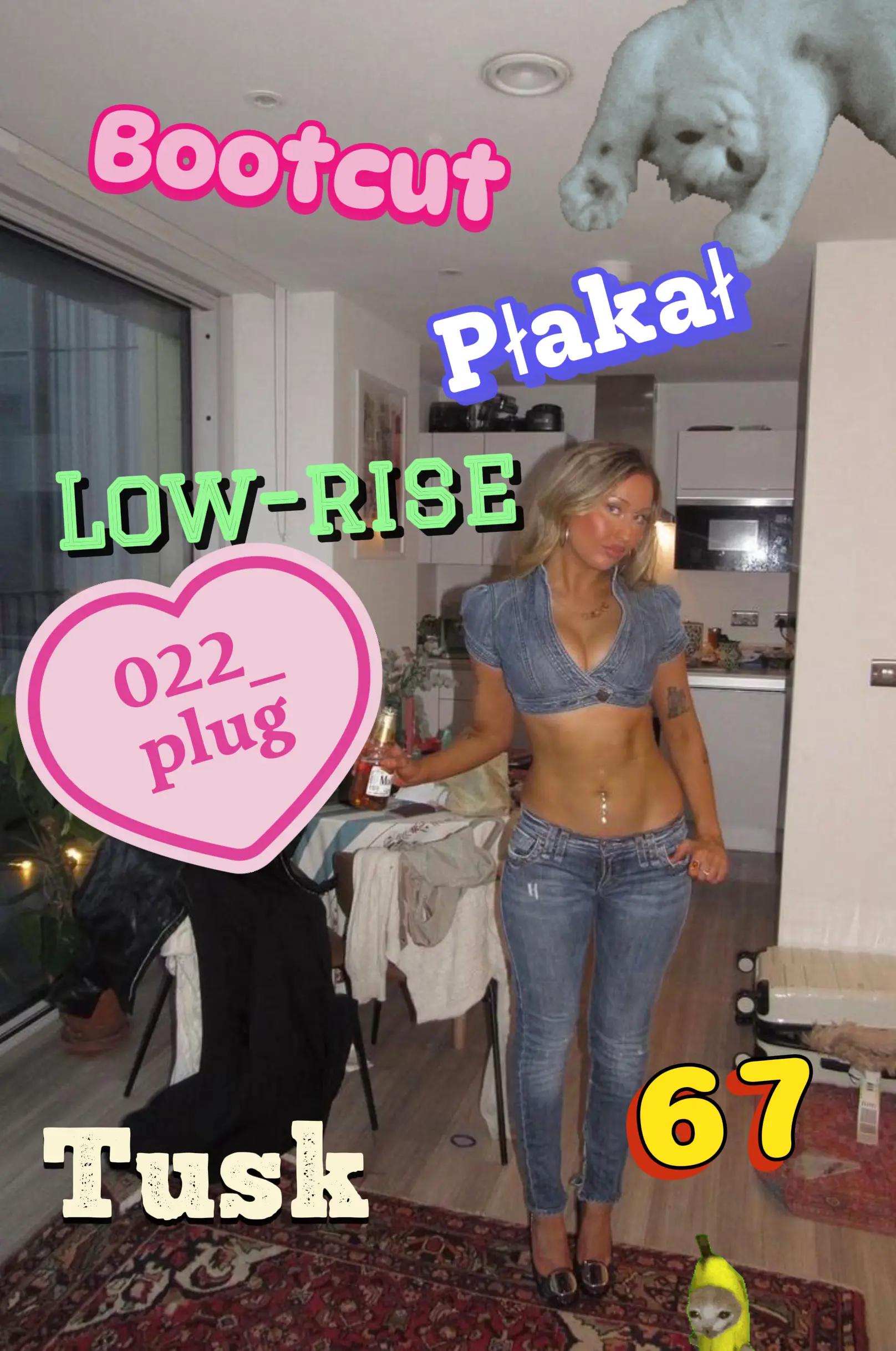 @022_plug