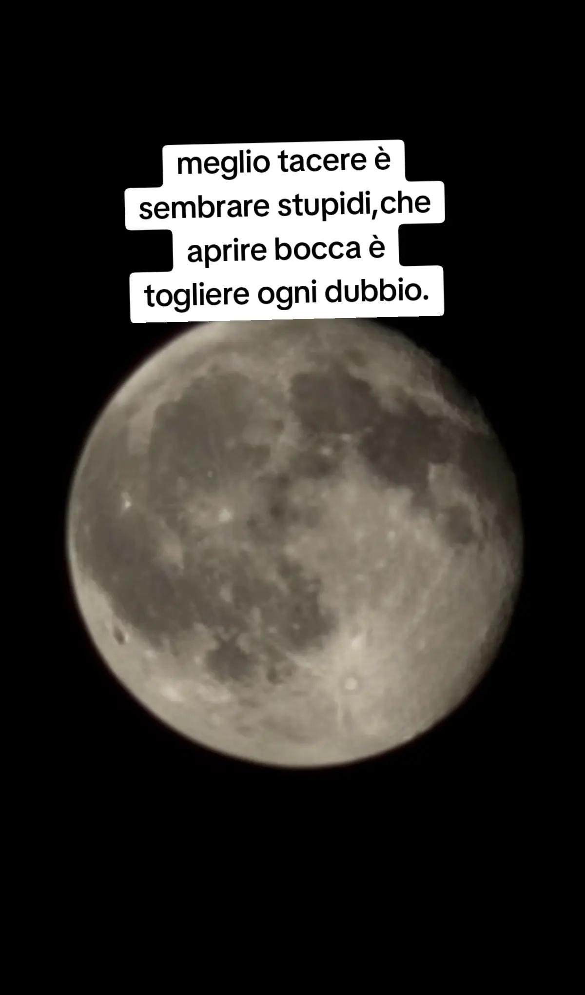 @ciropugliese379
