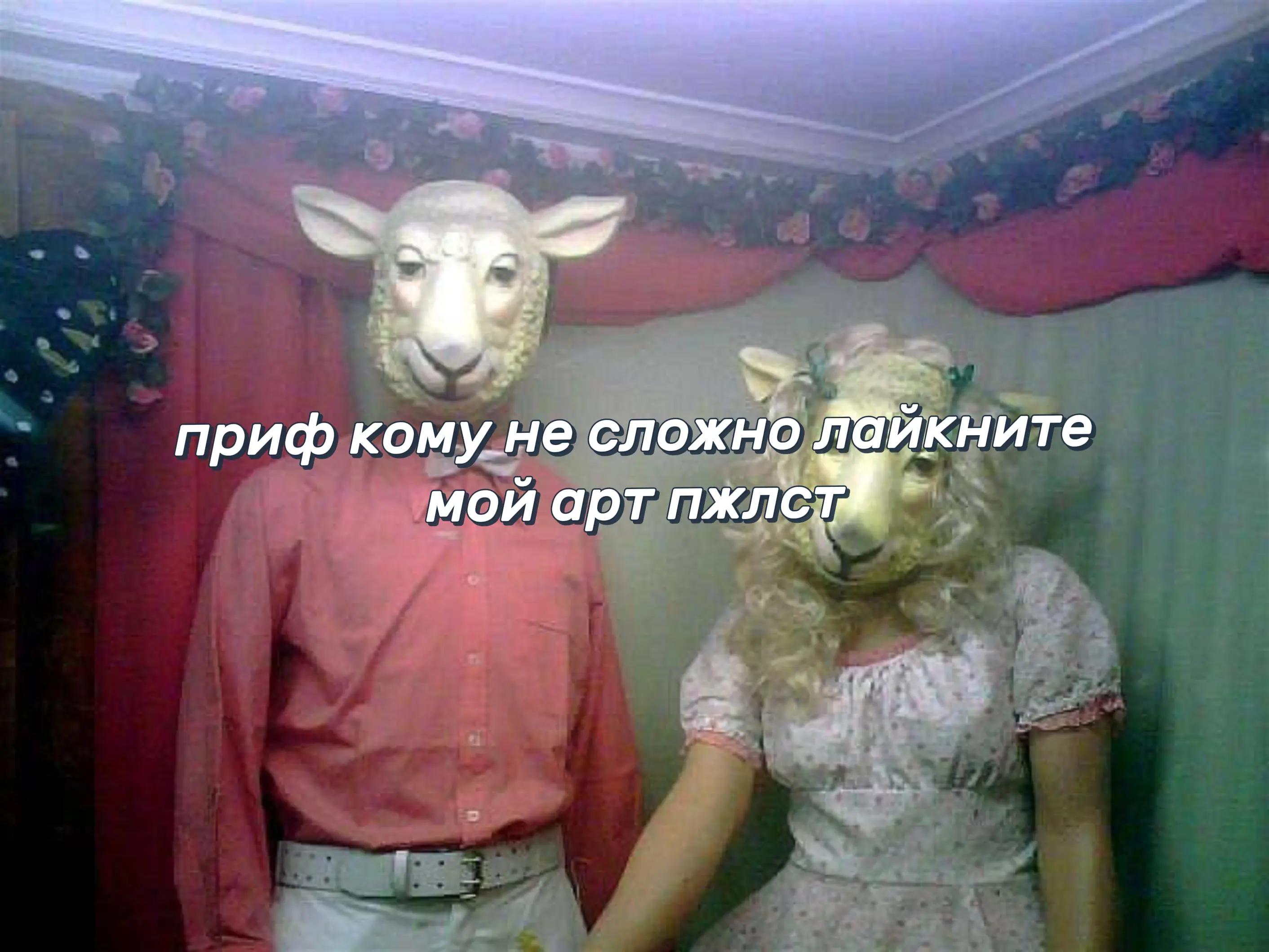 @нася к0рвалол