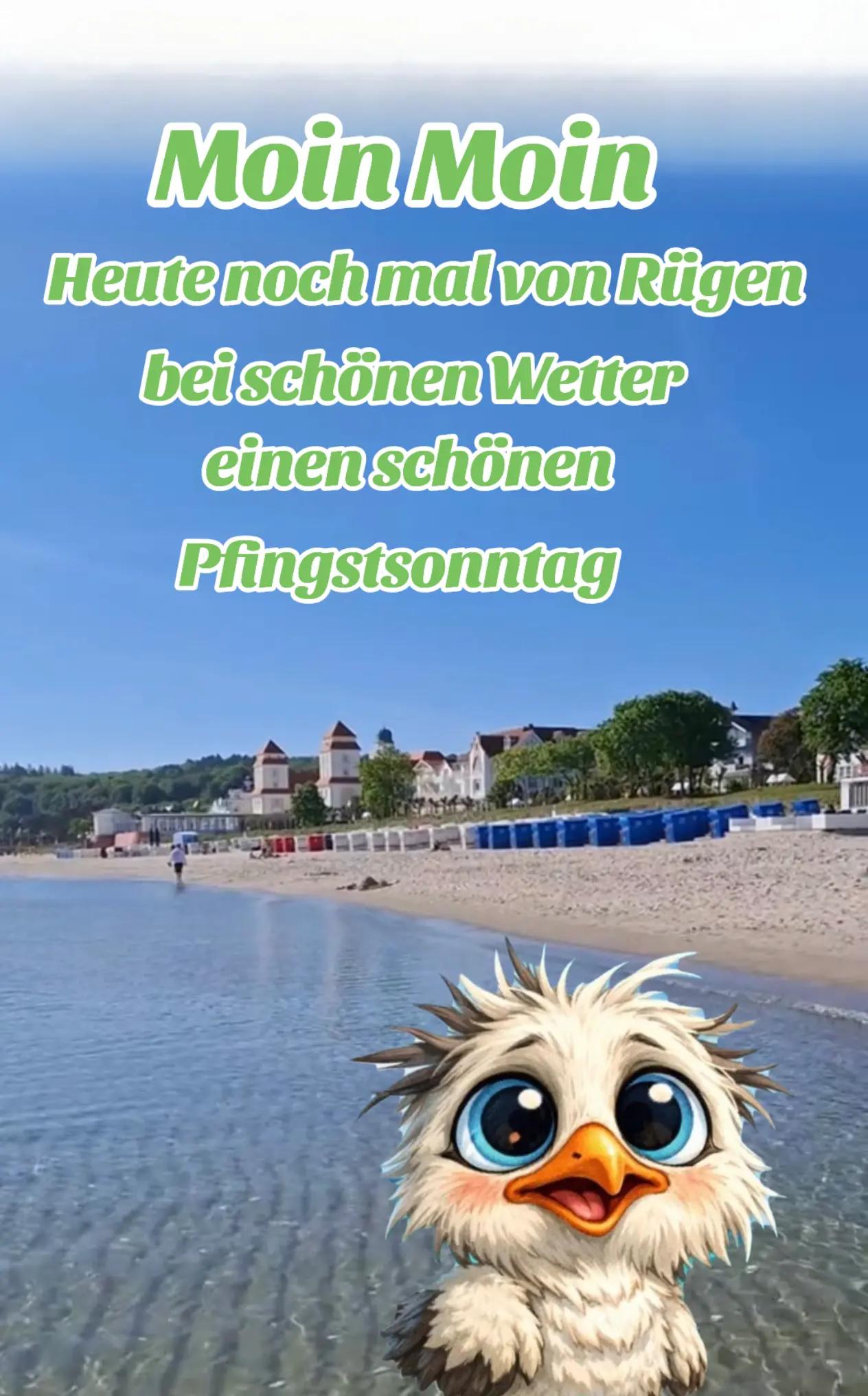 @geistlein12