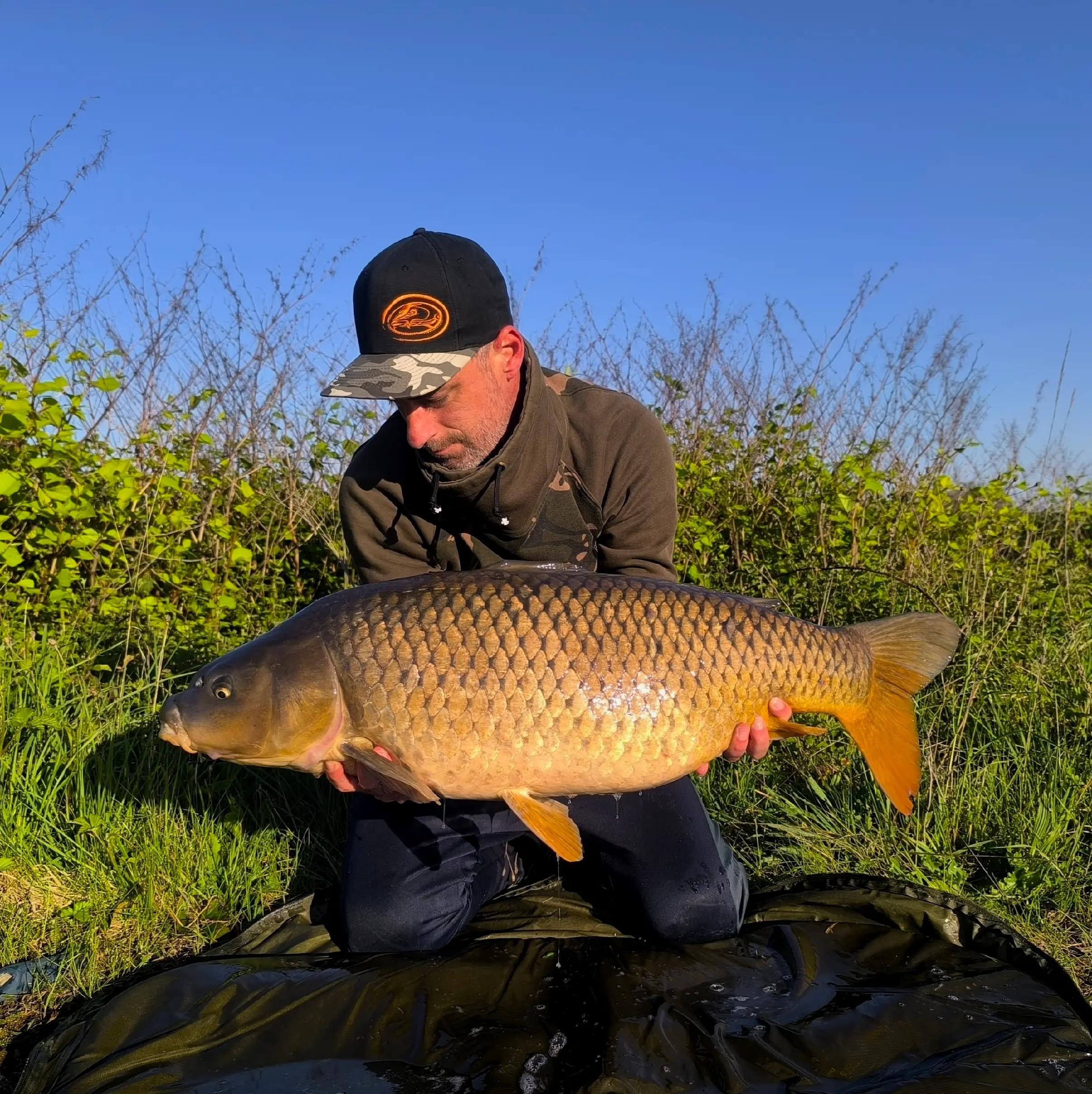 @Jocarpfishing