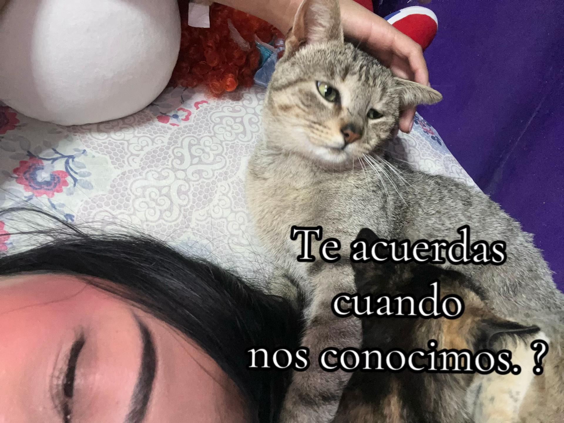 @bbybratz54🧚🏻♀️