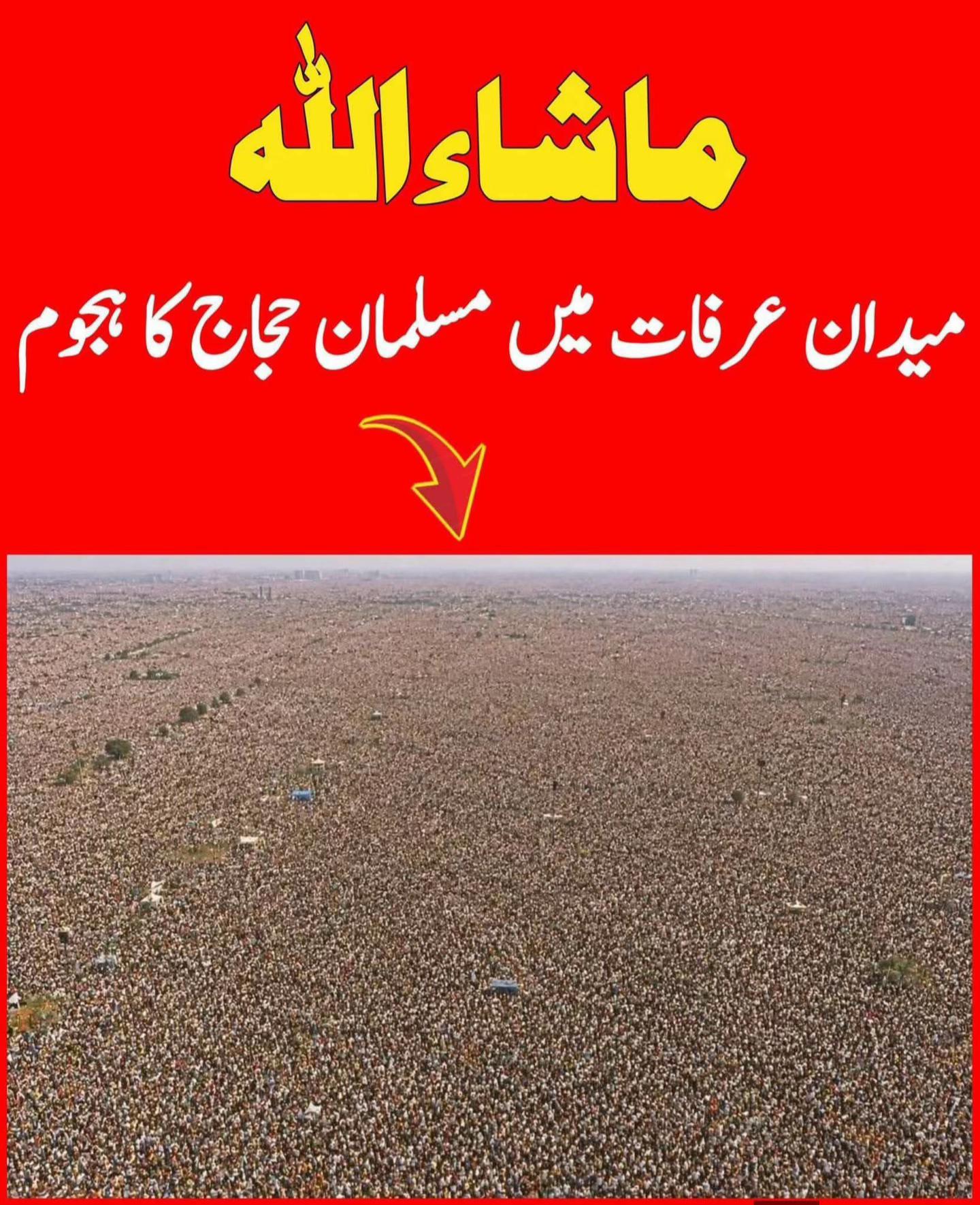 @Ameer Hamzs Ameer Ha