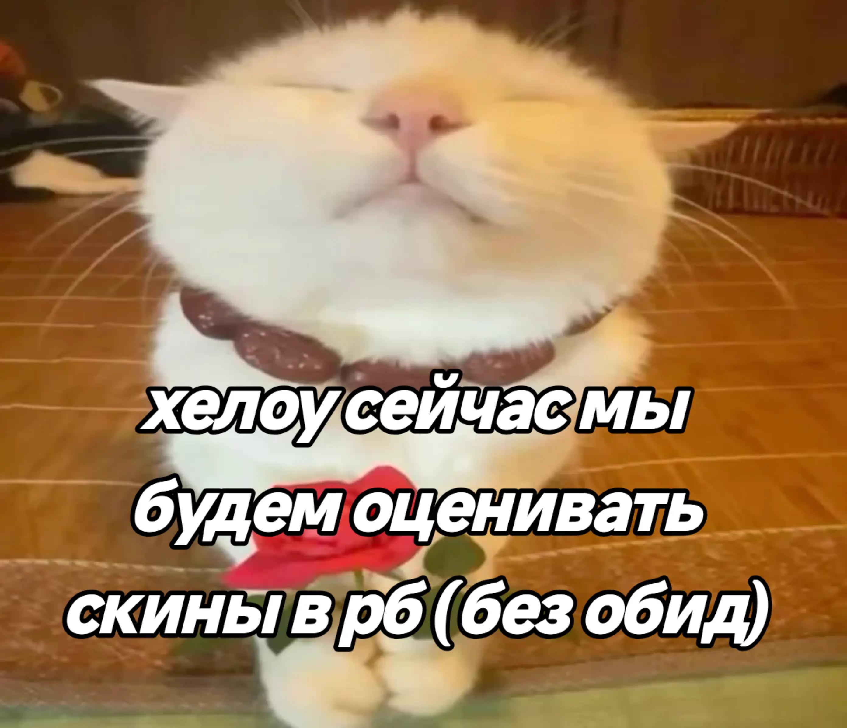 @сяо мяо🍭