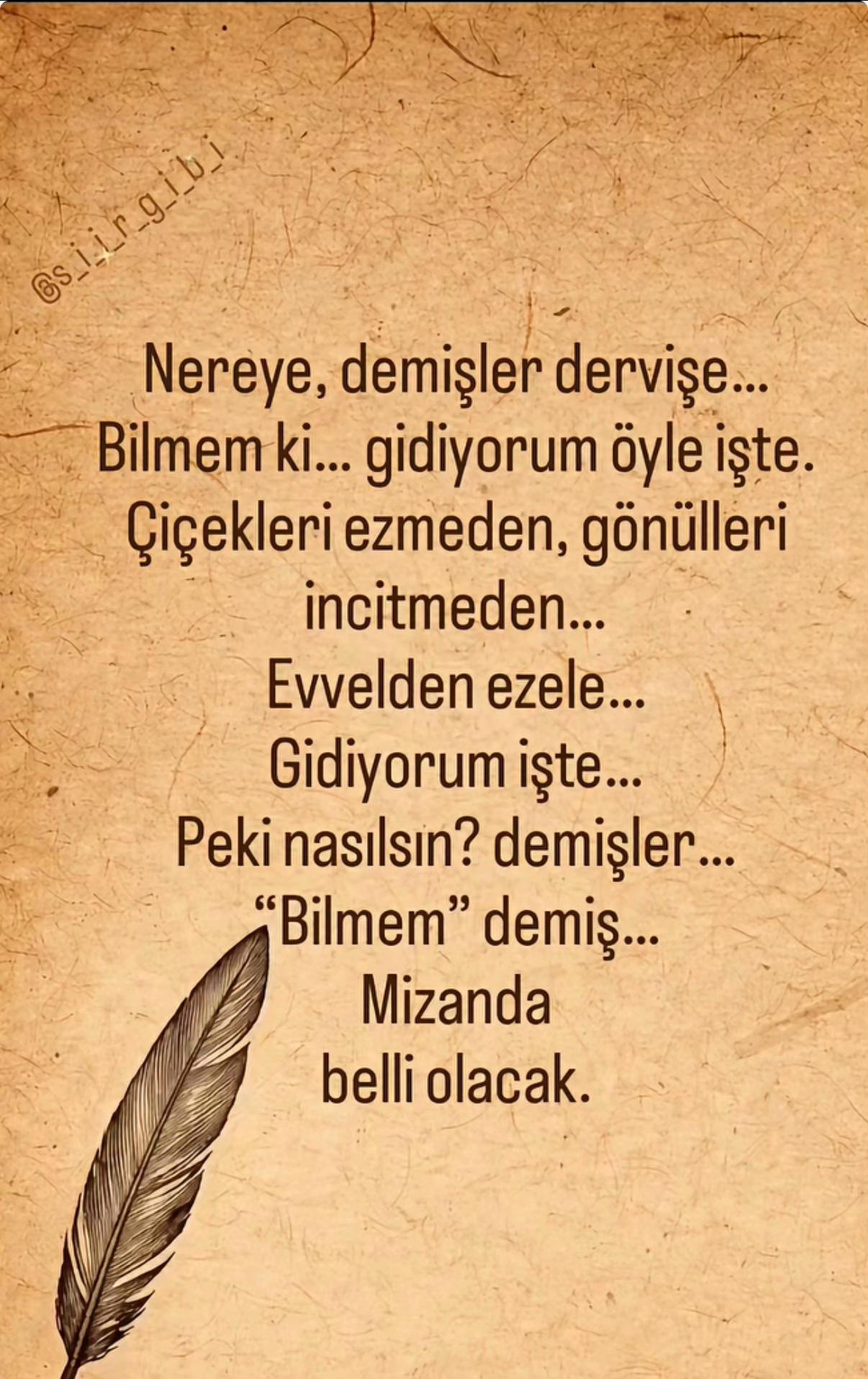 @🌻🇹🇷Reva🇩🇪🌻