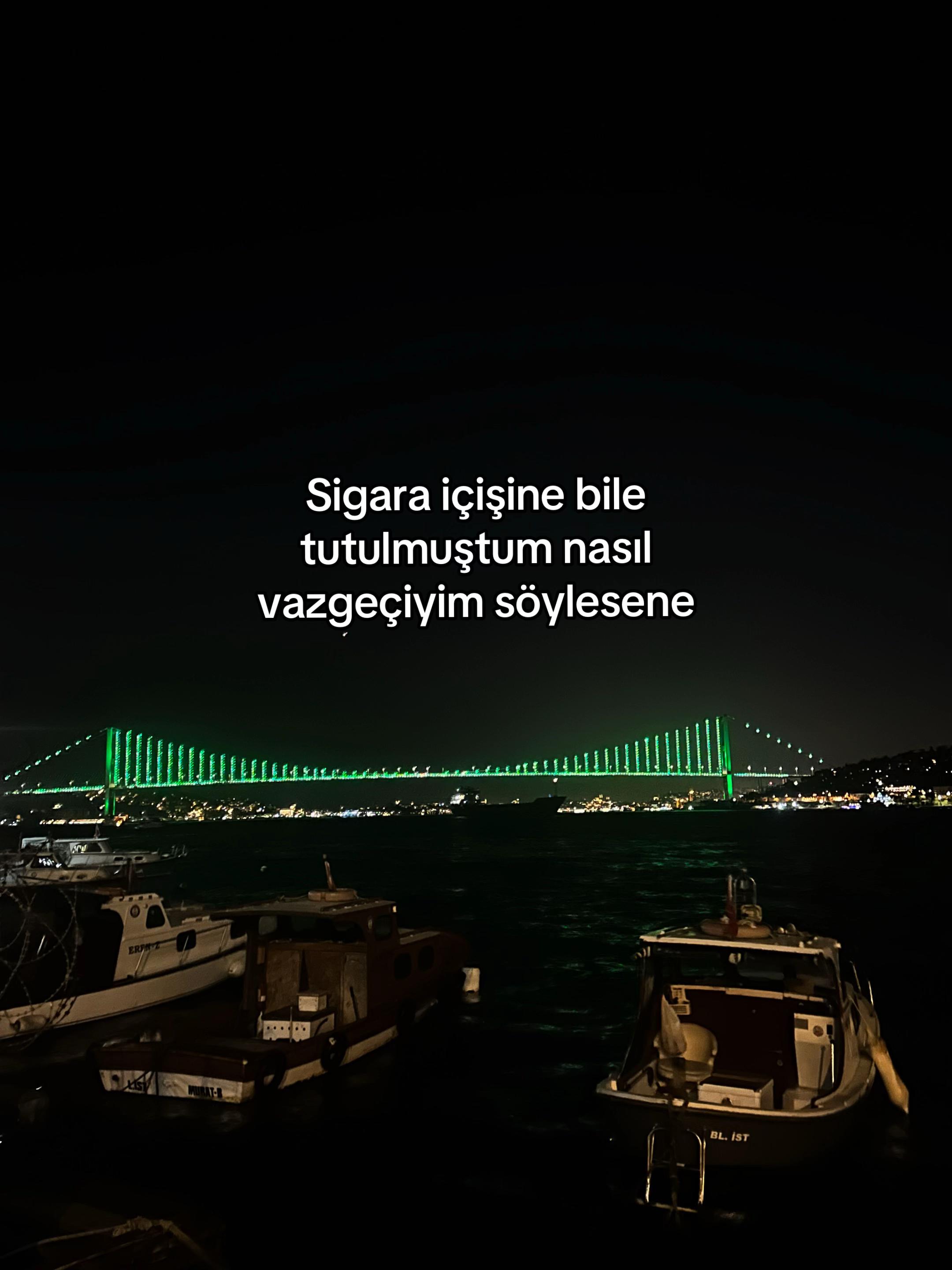 @bluelfida