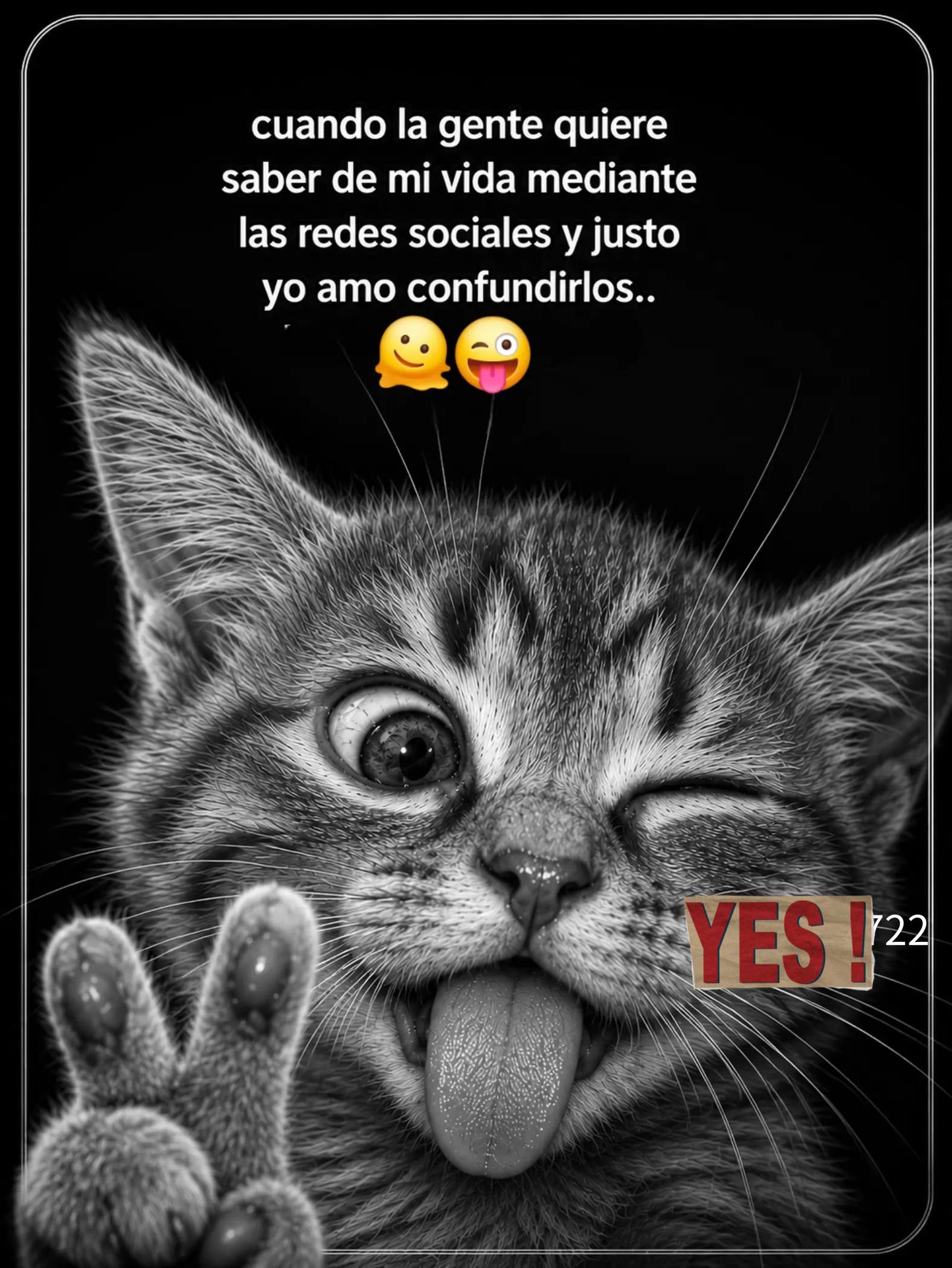 @TYTA ECUADOR 🇪🇨