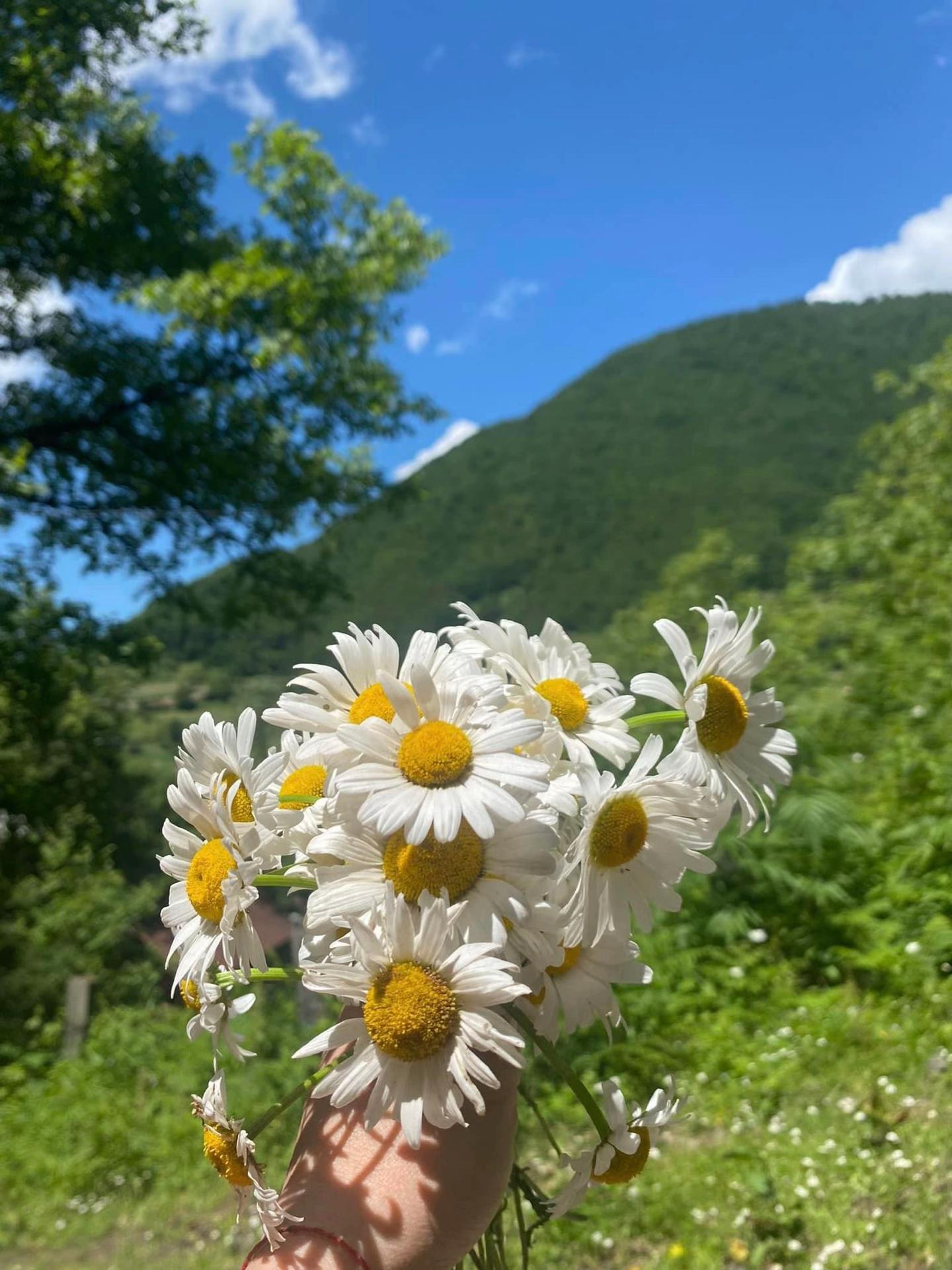 @ნა თი