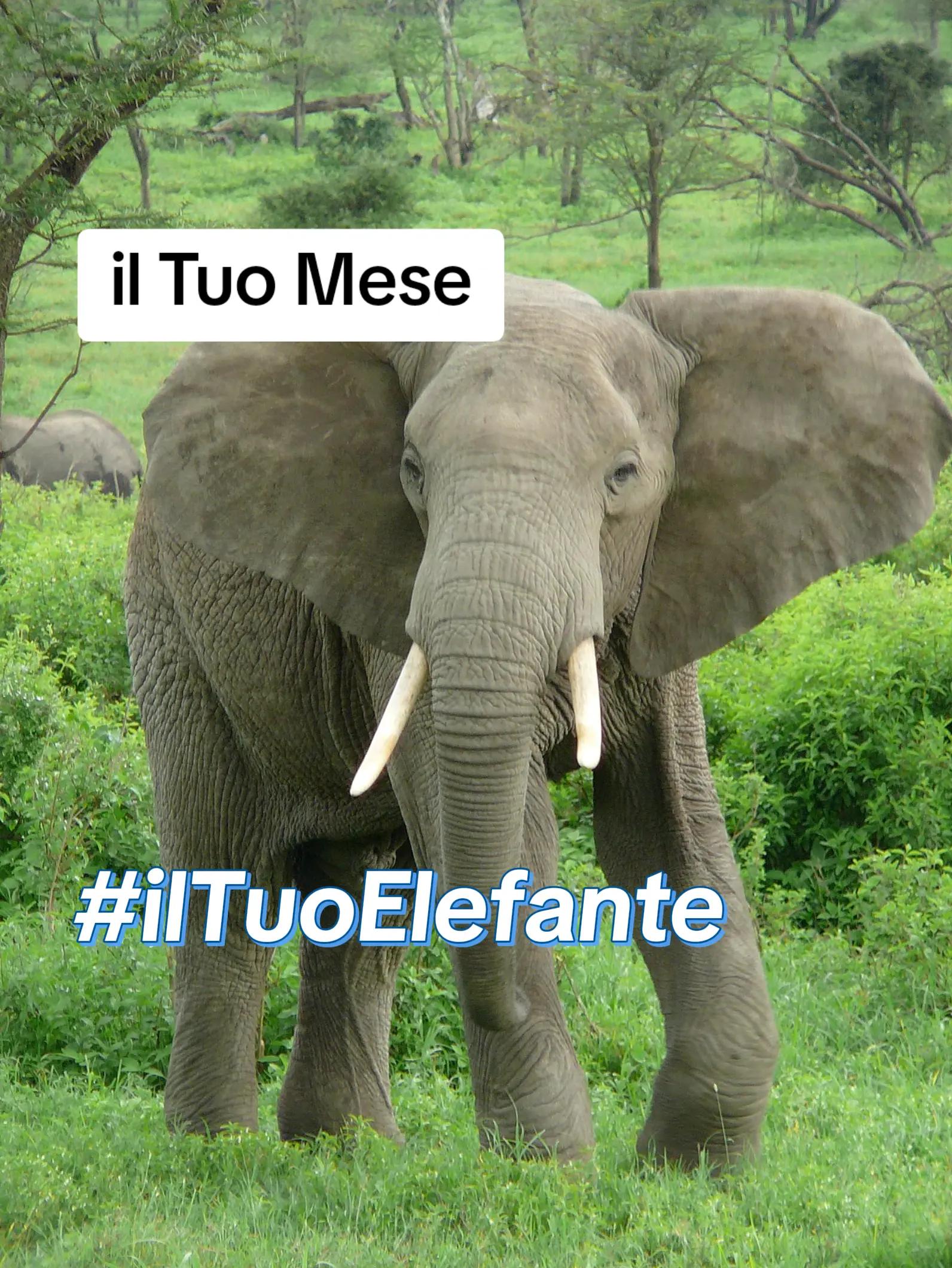 @Generator_Enry10