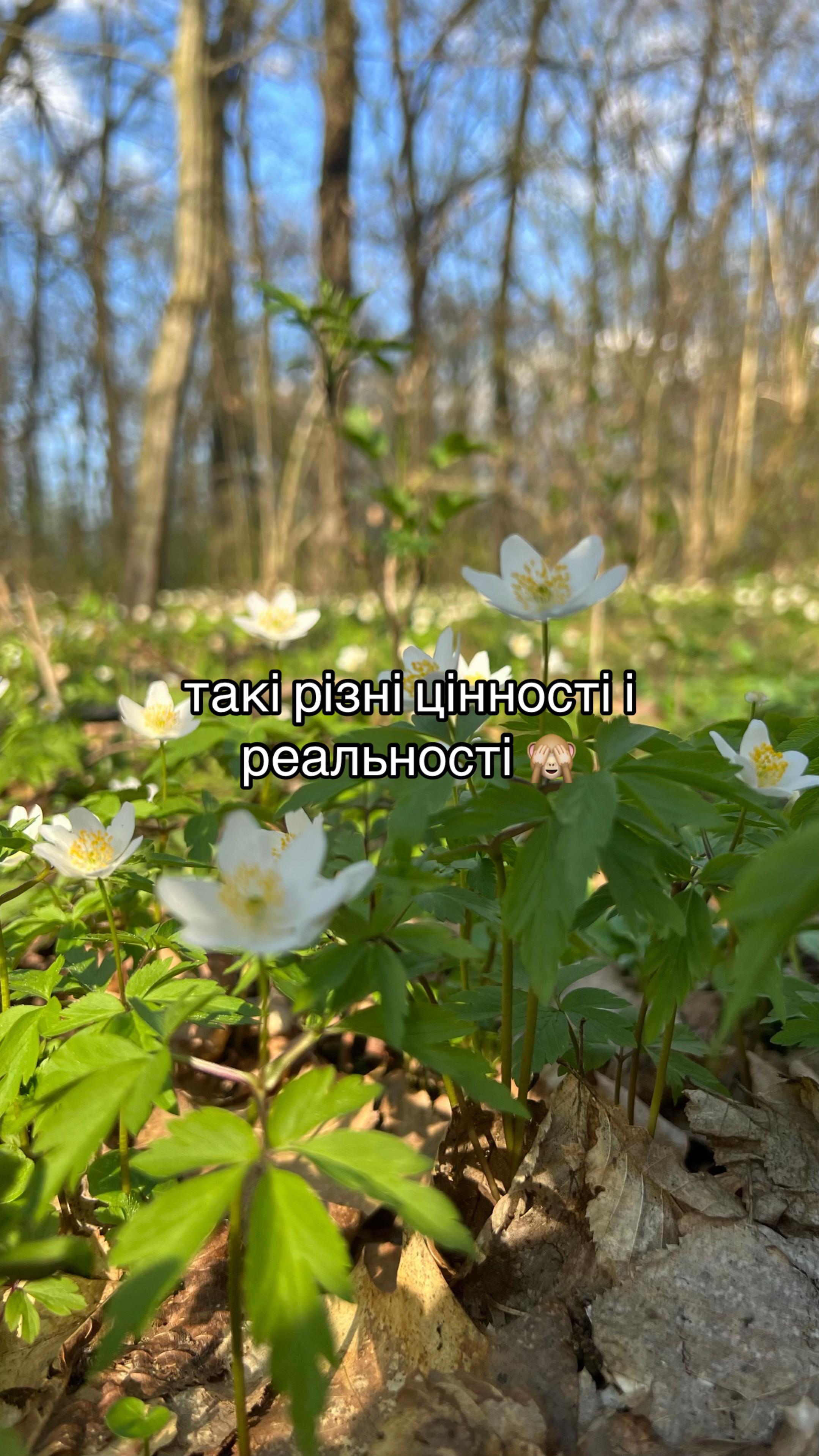@🐼пандочка🐼