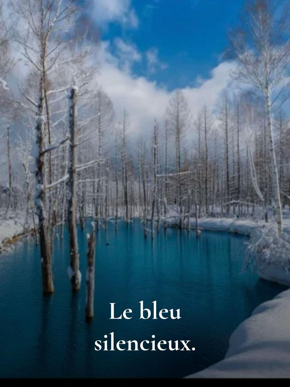 @les.chants.du.silence