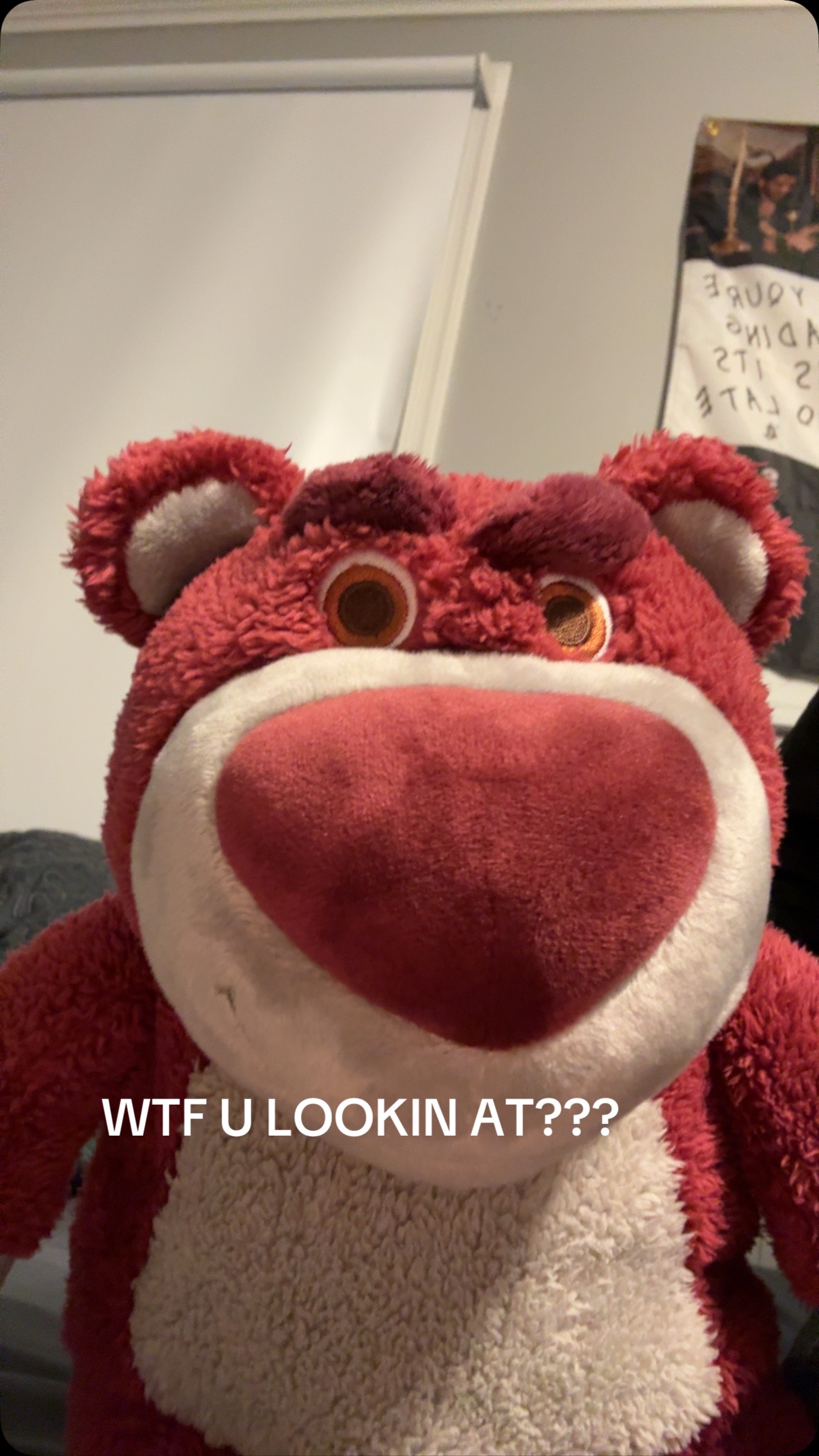 @wthelly494