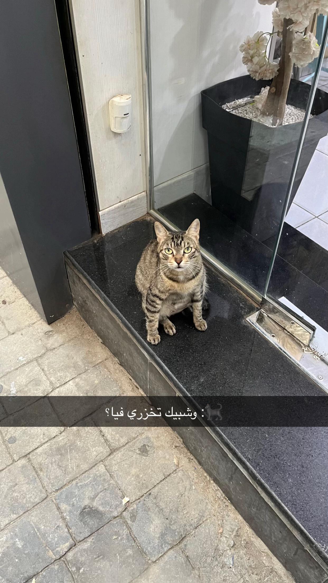 @مَريم