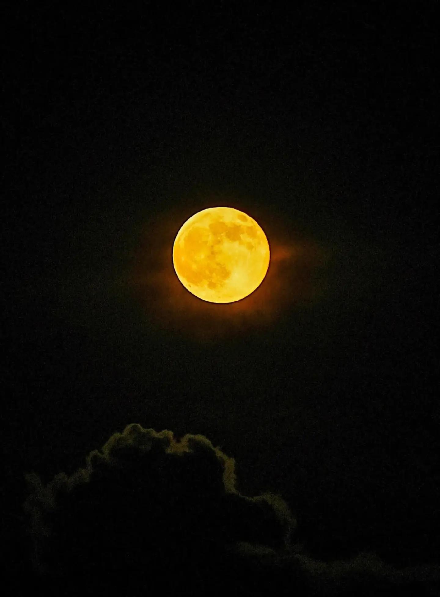 @सन्यासी 🔥