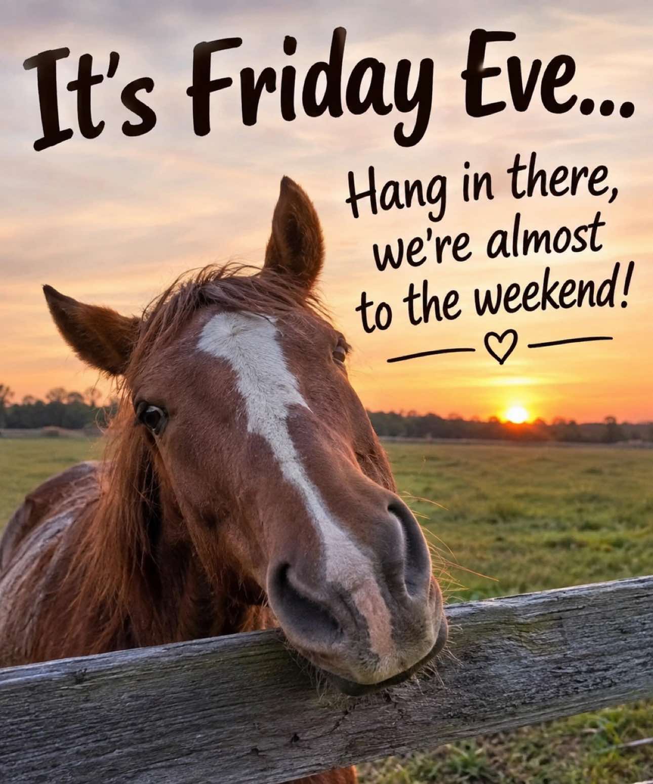 @Horselife