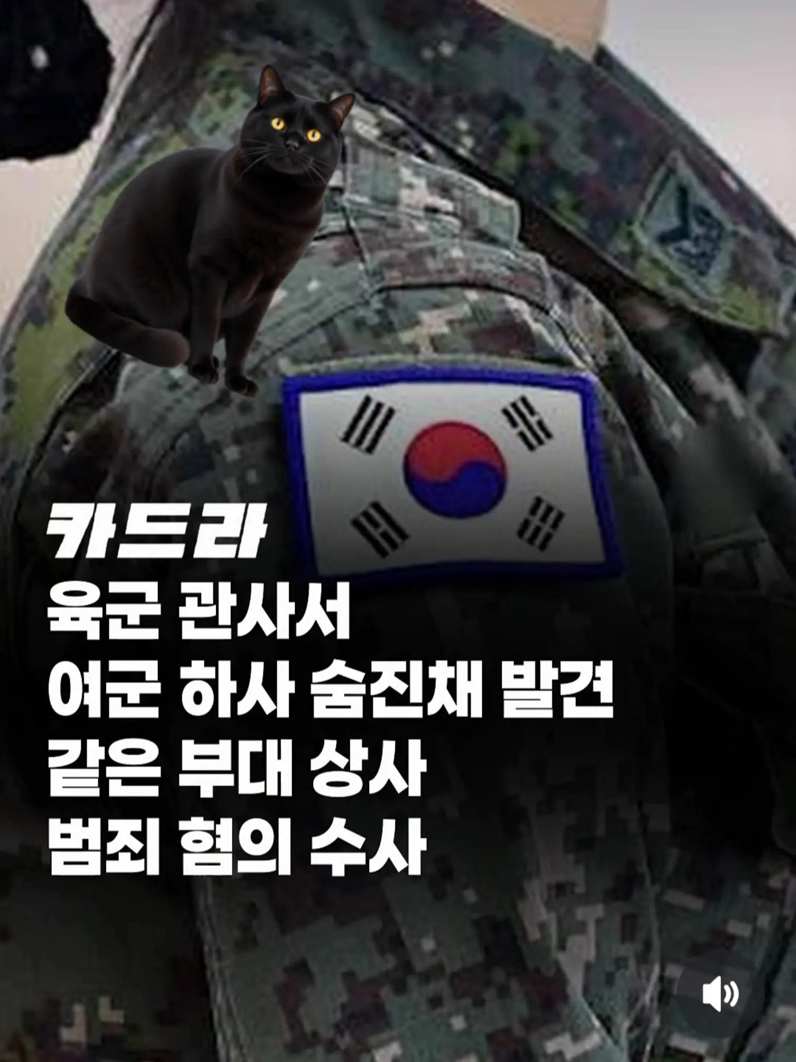 @🌺시라소니[본]🌺