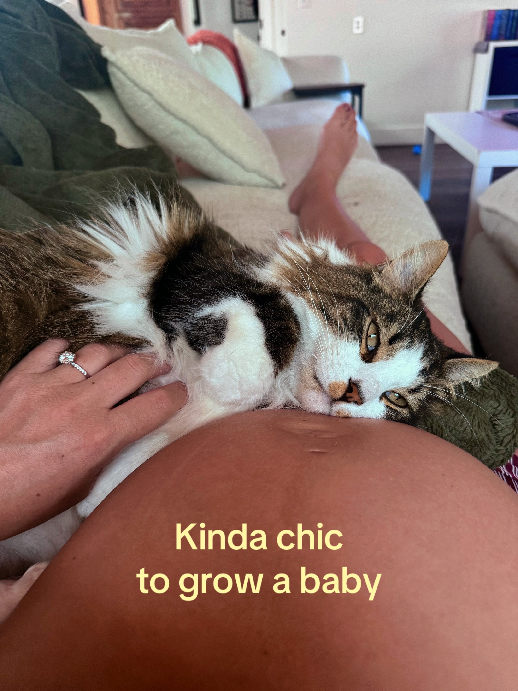 @momlifewithmrbaby