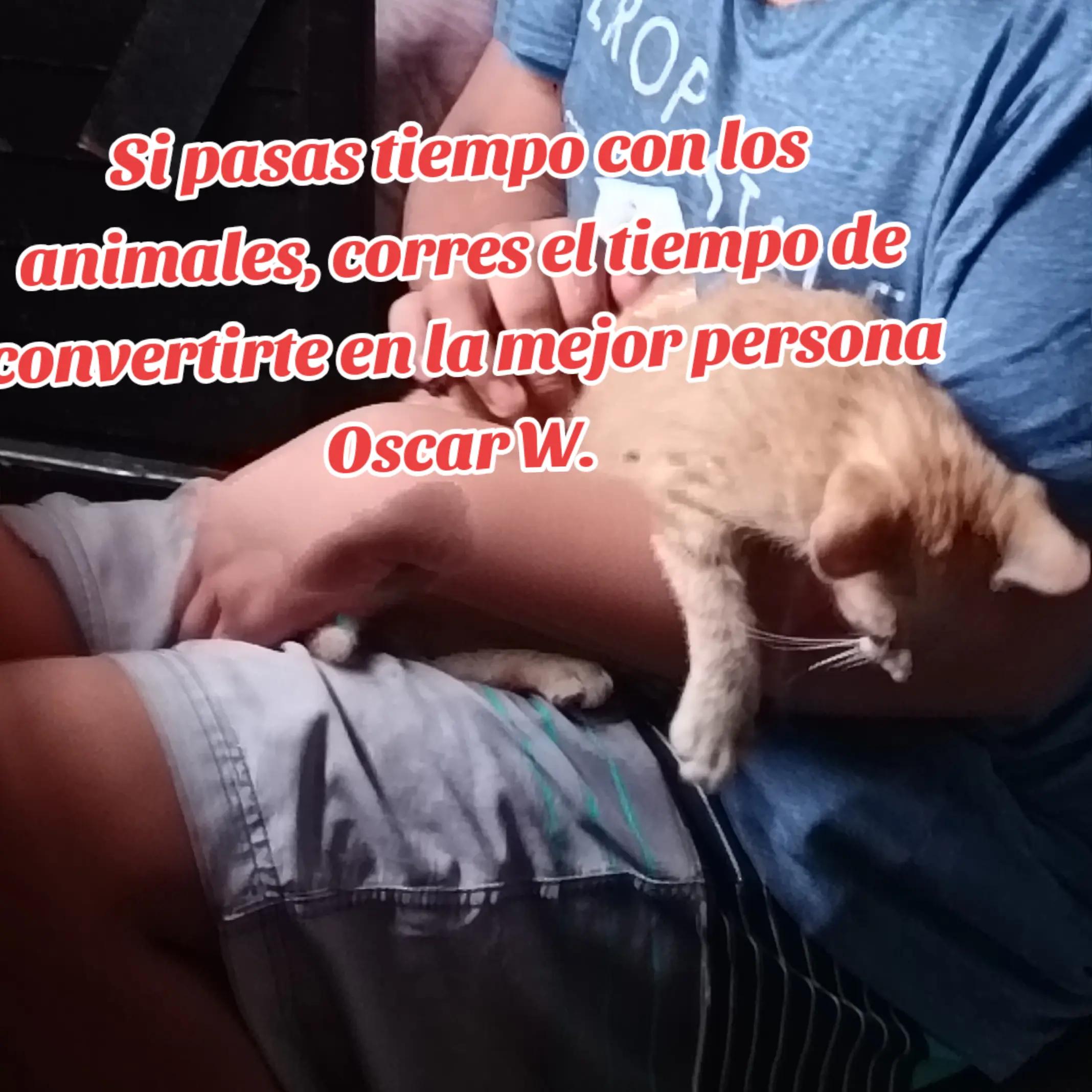 @Joss Elías