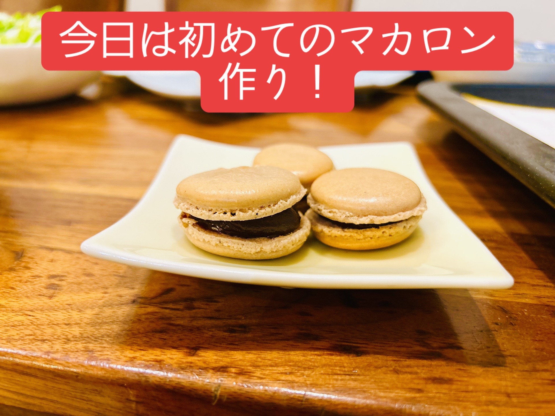 @動物オタクのキム