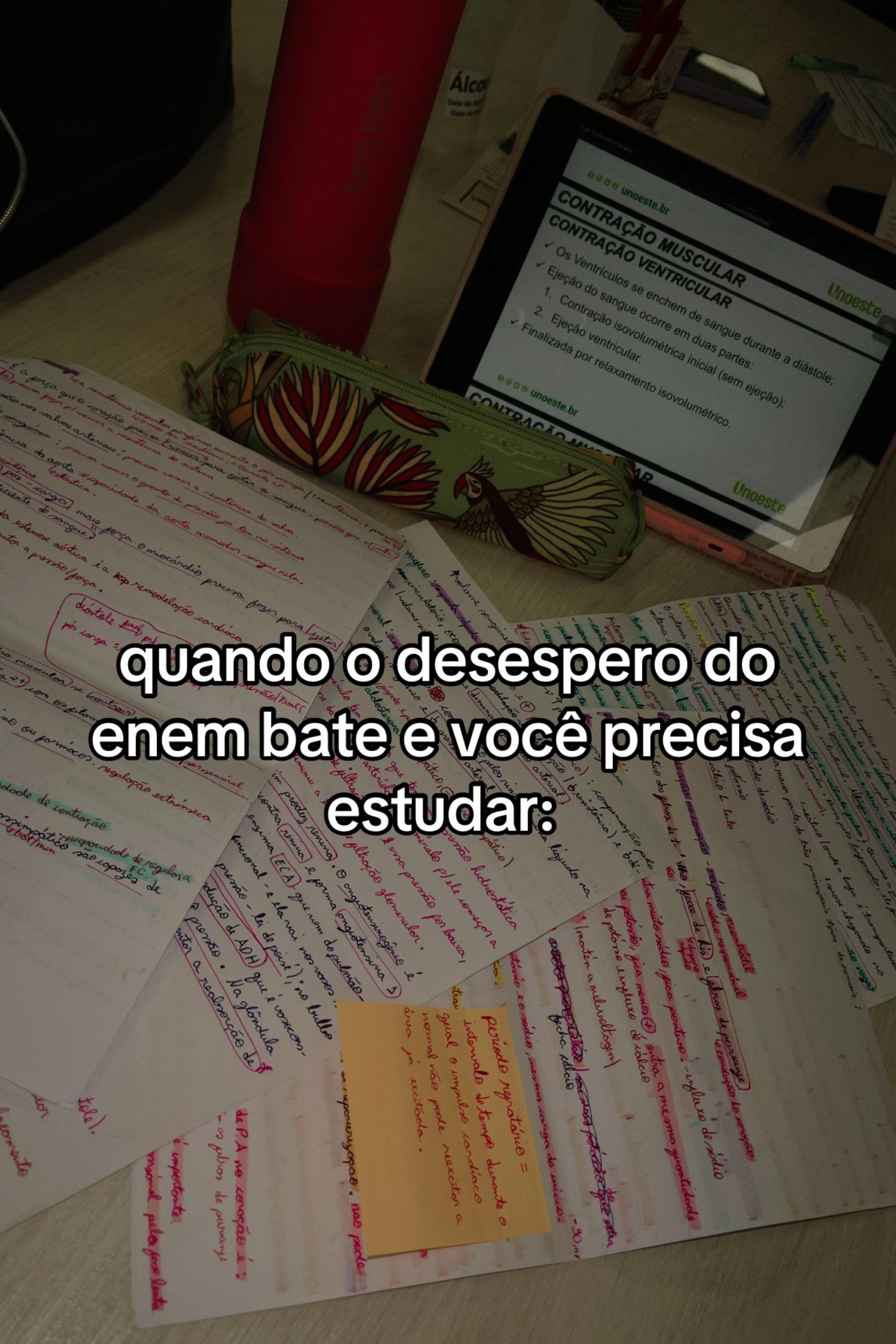 @Karen | Redação ENEM ✍️