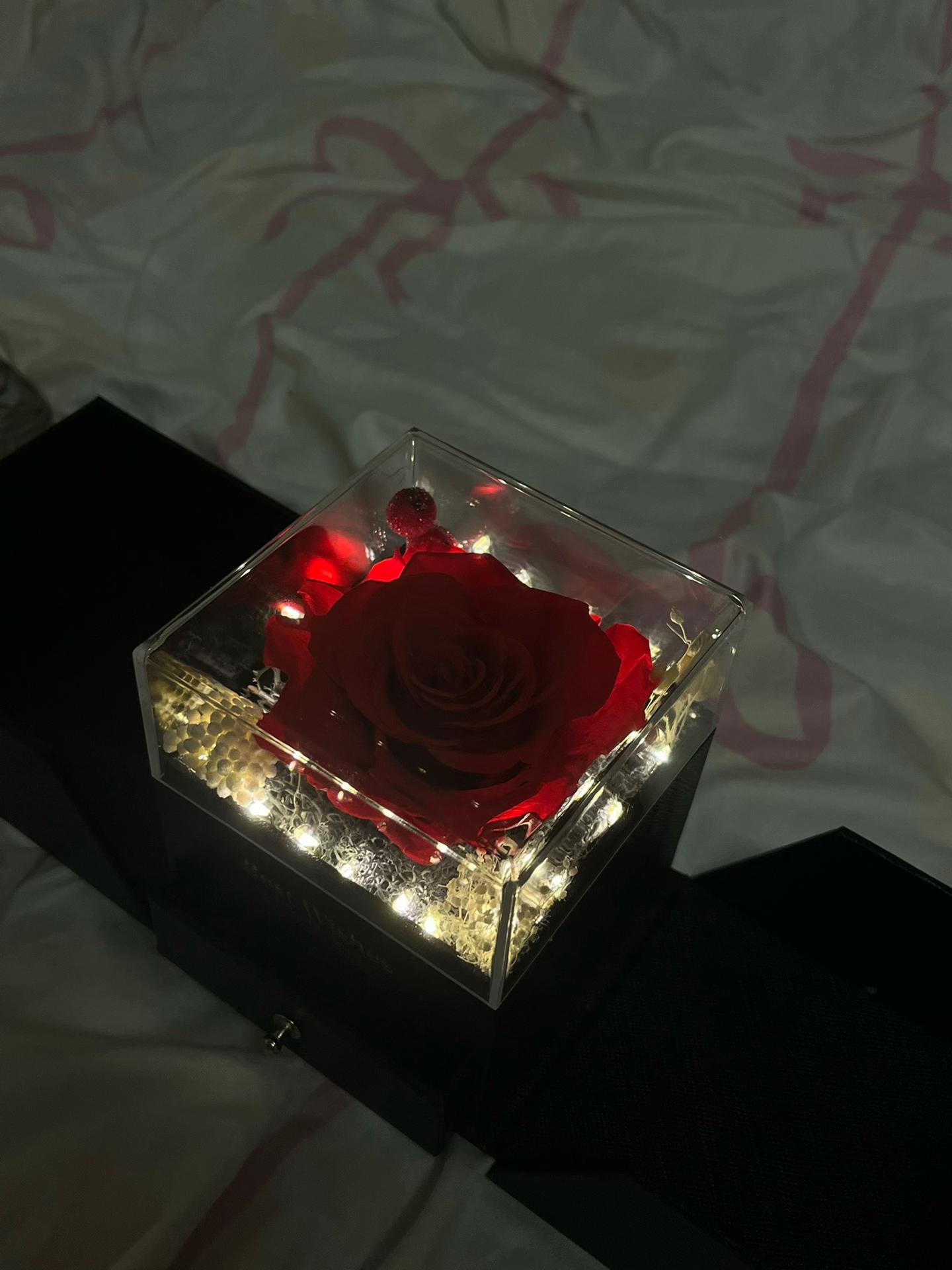 @llorrelay