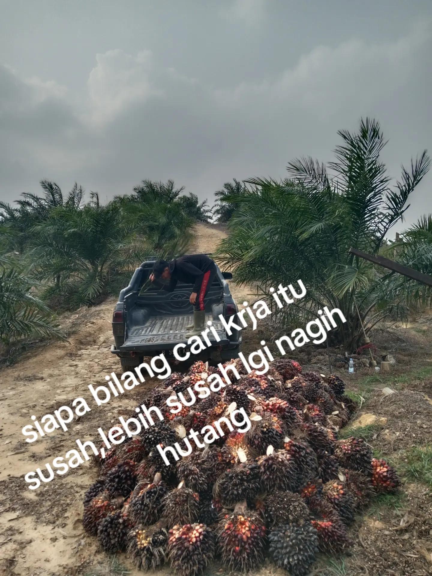 @Andri ajja01