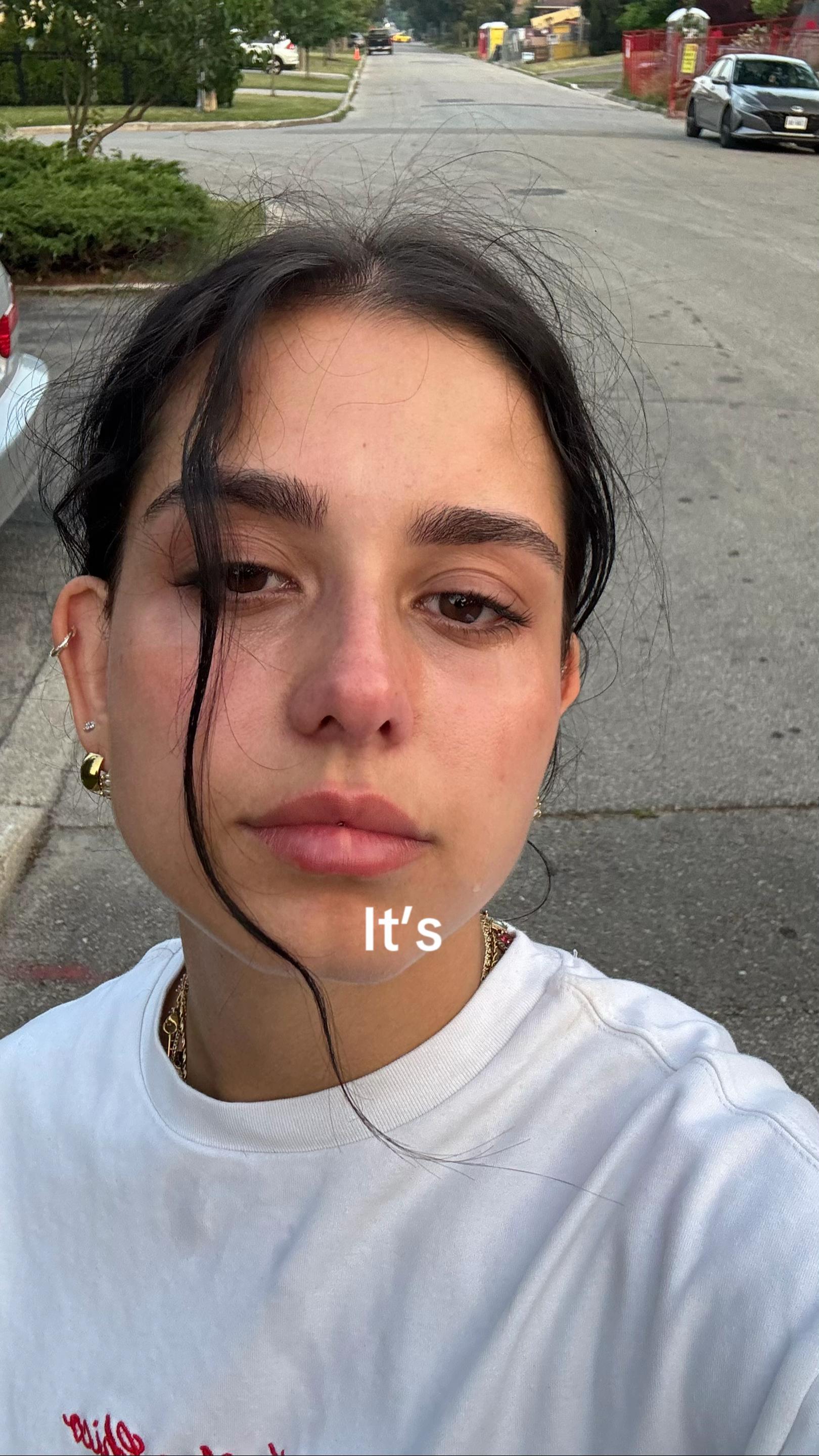 @Sofia Camara