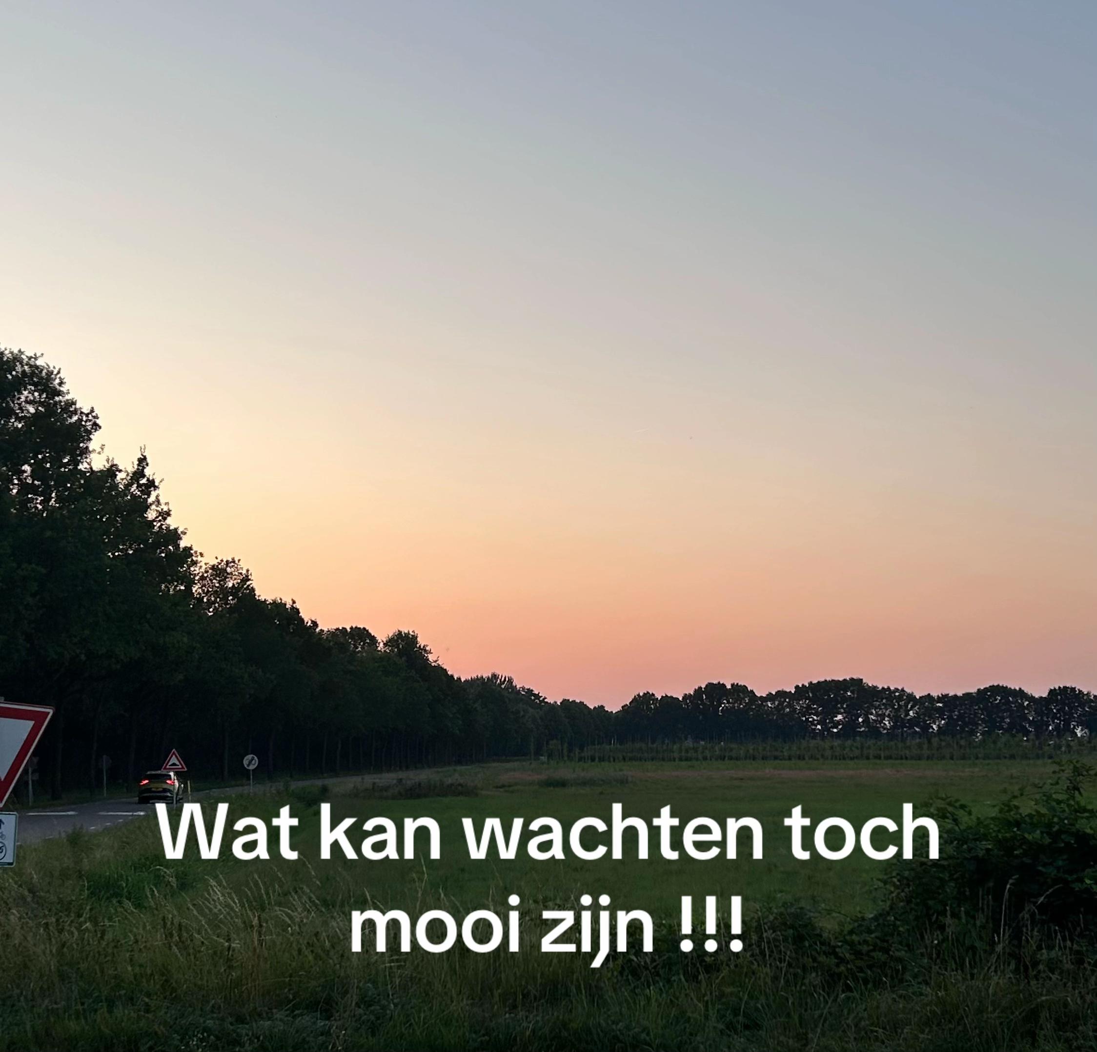 @Dion Dietvorst