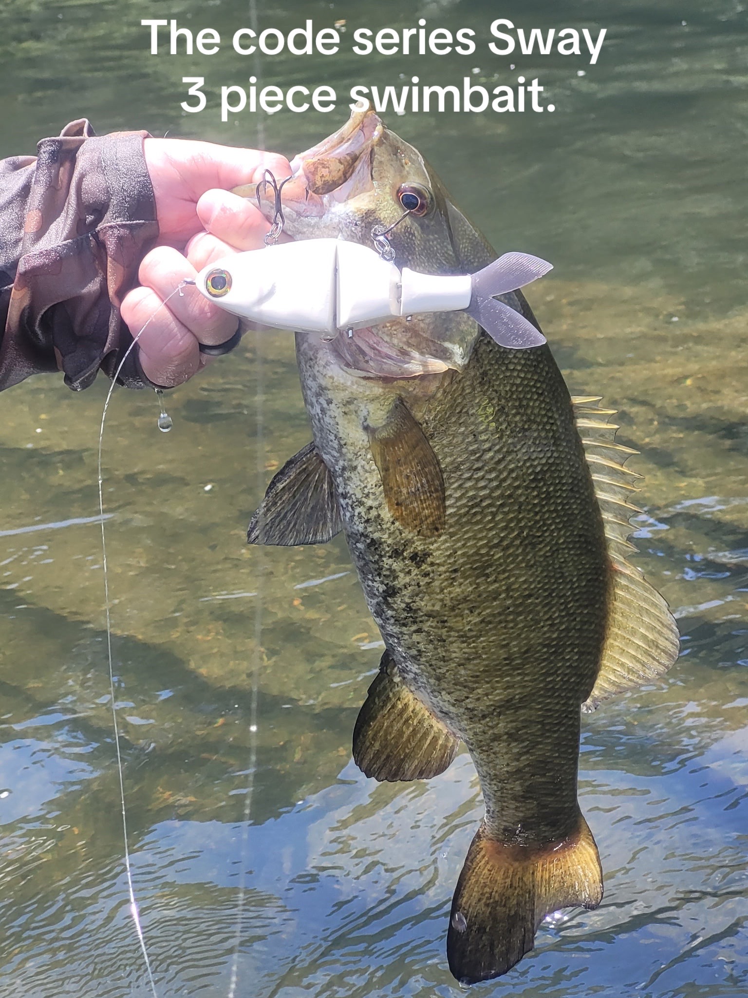 @River Born Baits