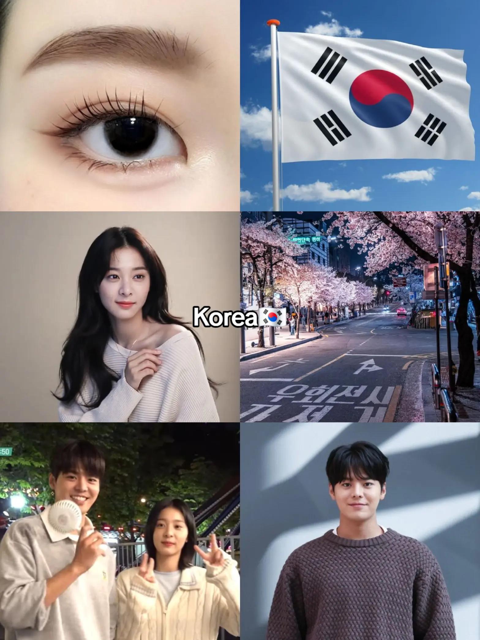 @✨한국