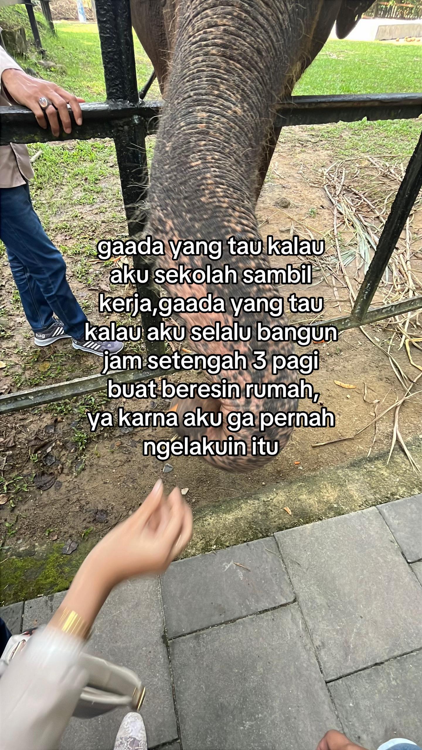 @zlrawrrr